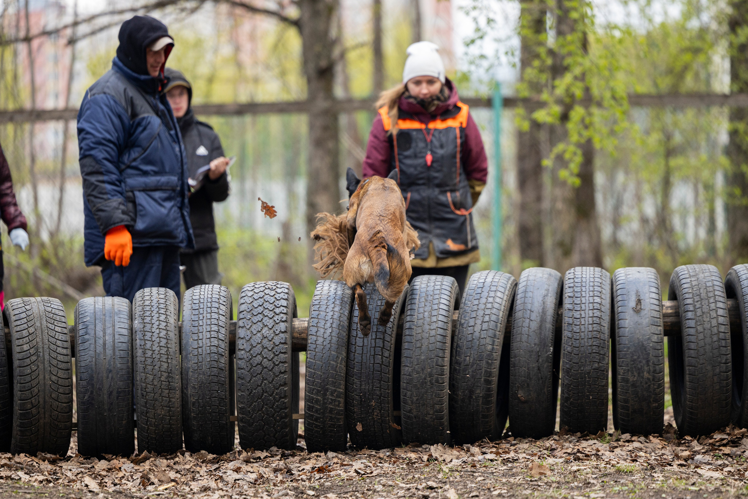 Квалификационные состязания по мондьорингу г. Вологда 11.05.24. Фотограф-анималист Анна Маринич