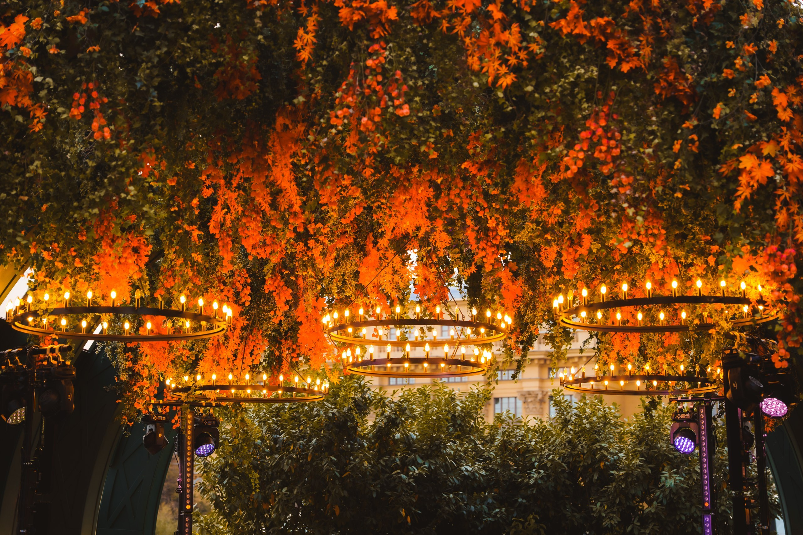 Фото-прогулка. Пенкин Александр