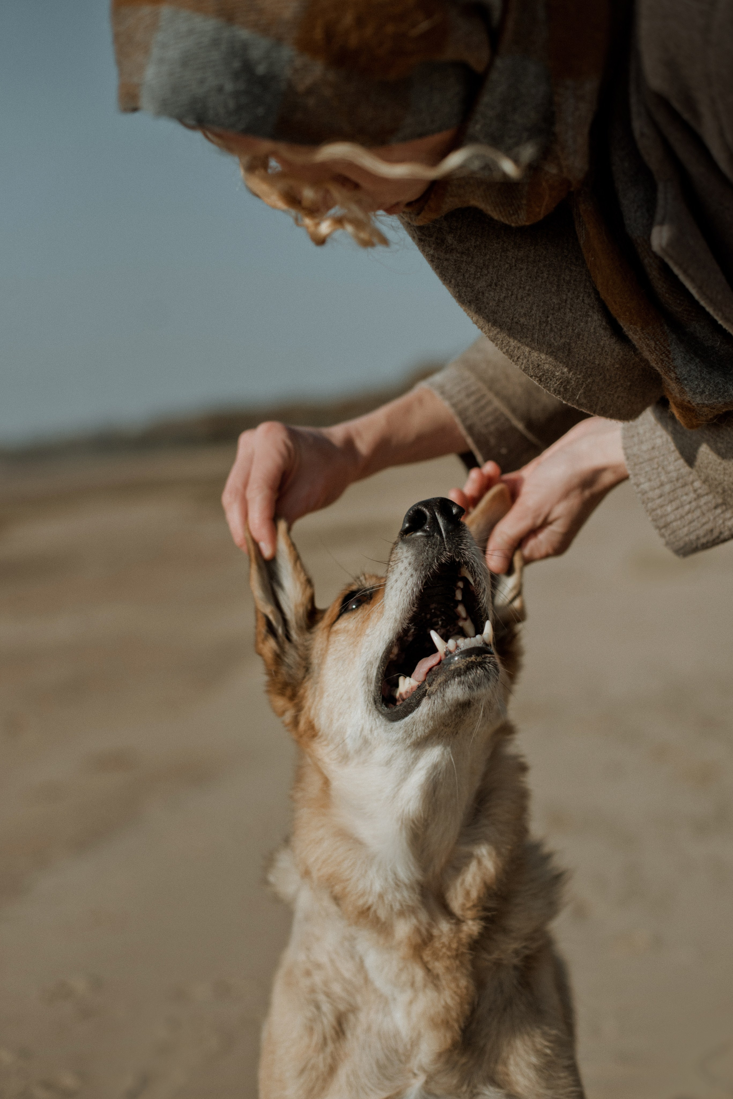 Прогулка: Аня и Шуня. Портфолио