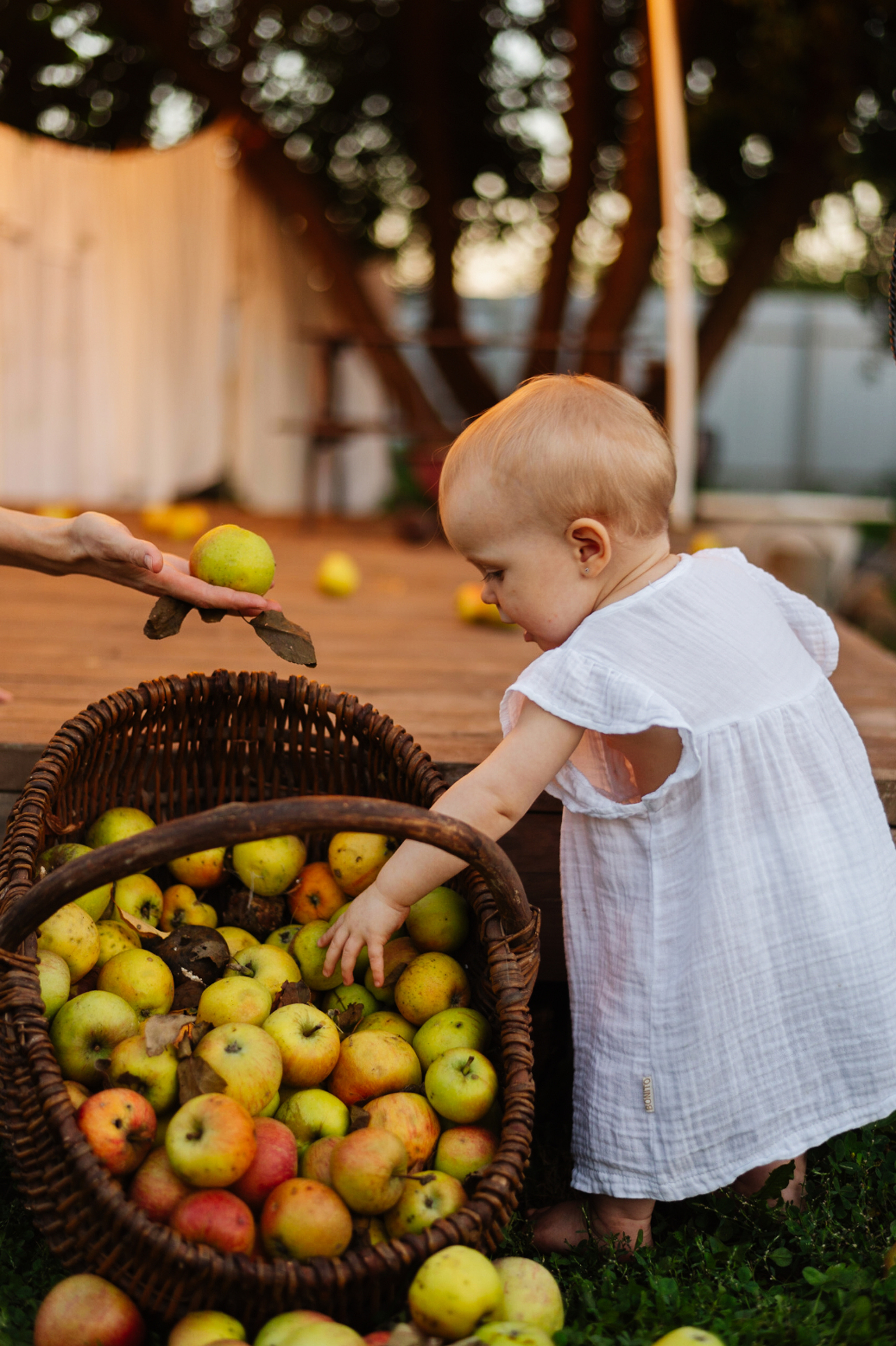 Домик. Свадебный и семейный фотограф Анастасия Снежная