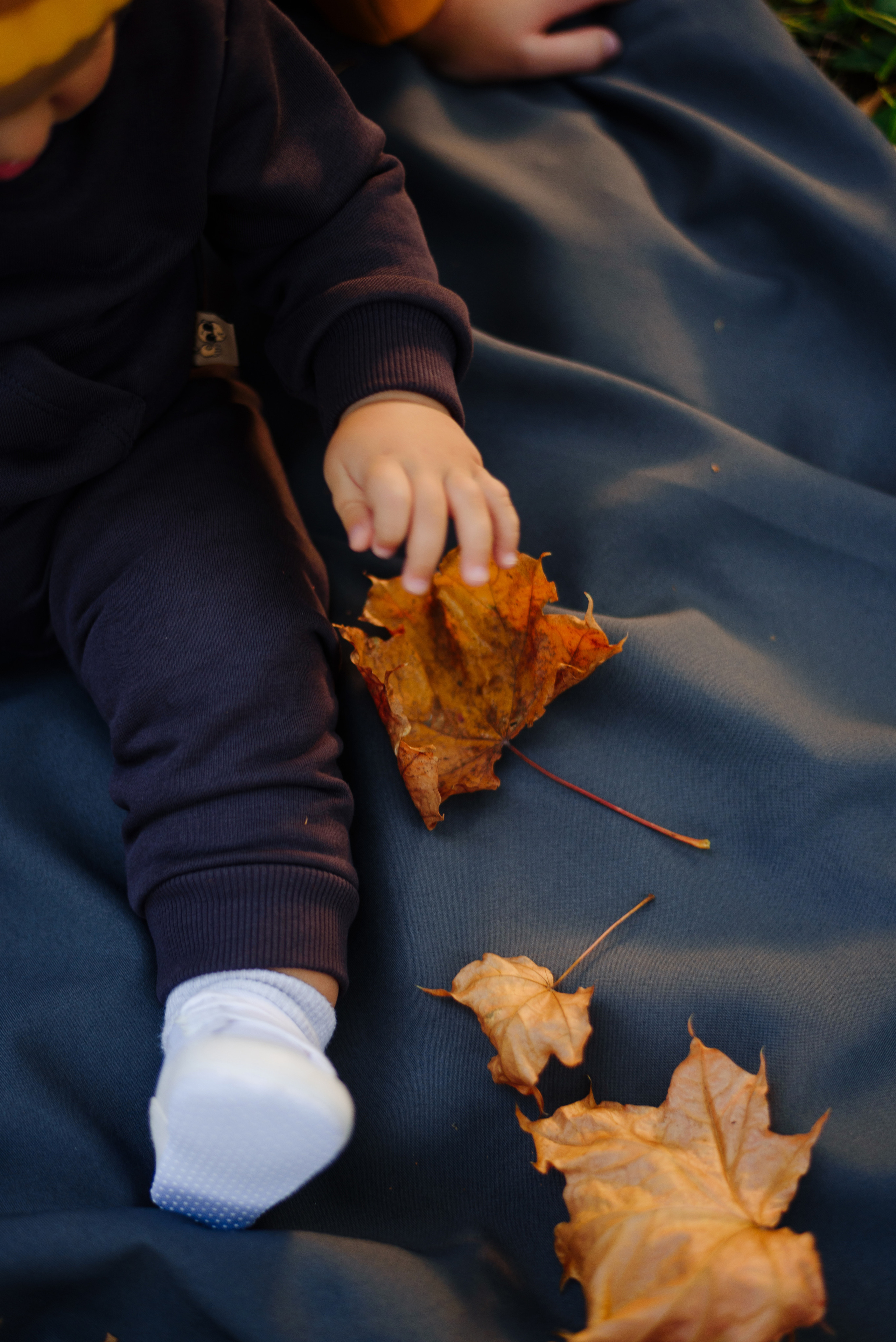Тима и Женя в лучах осени. Свадебный и семейный фотограф Анастасия Снежная