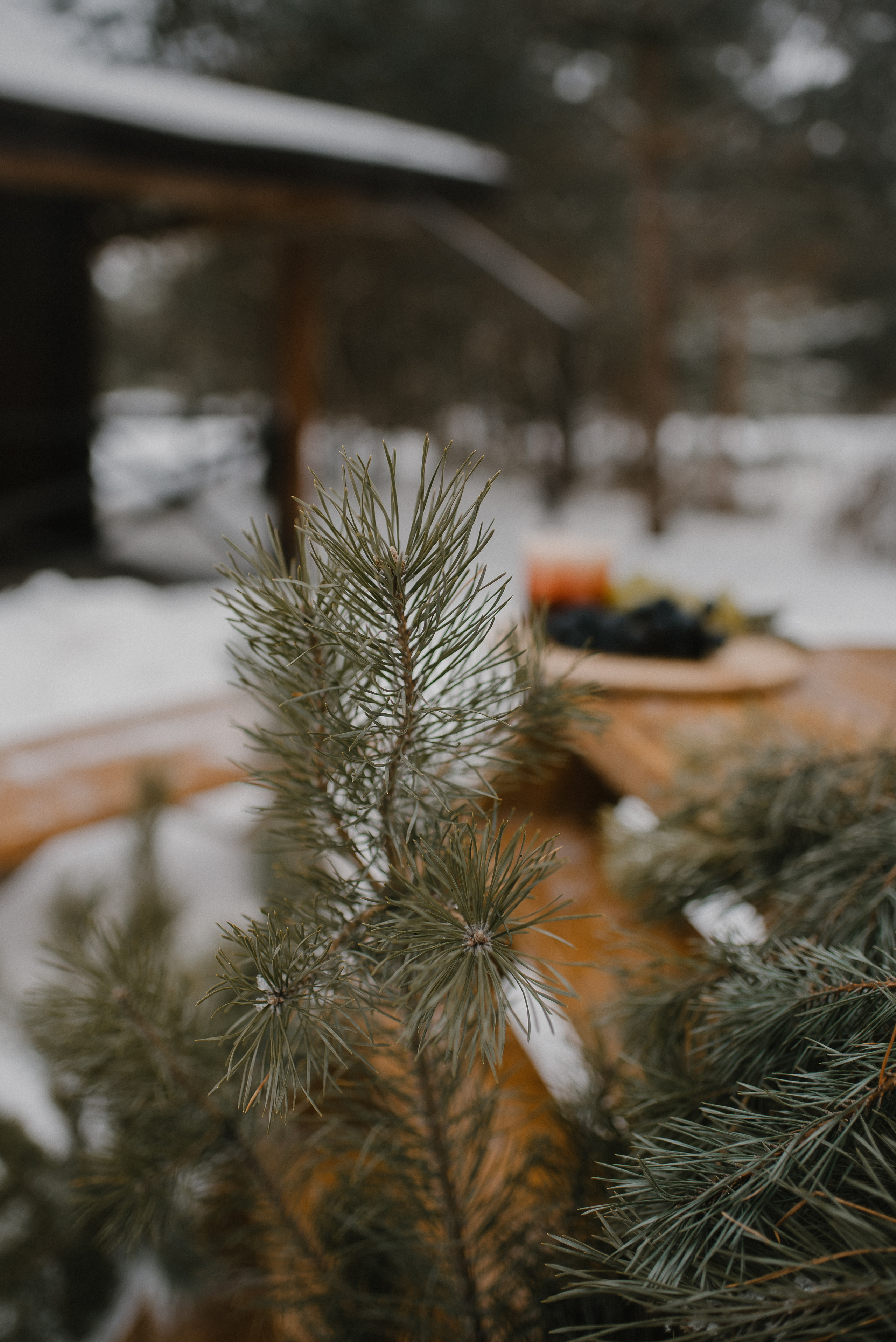 Горячий чан. Свадебный и семейный фотограф Анастасия Снежная