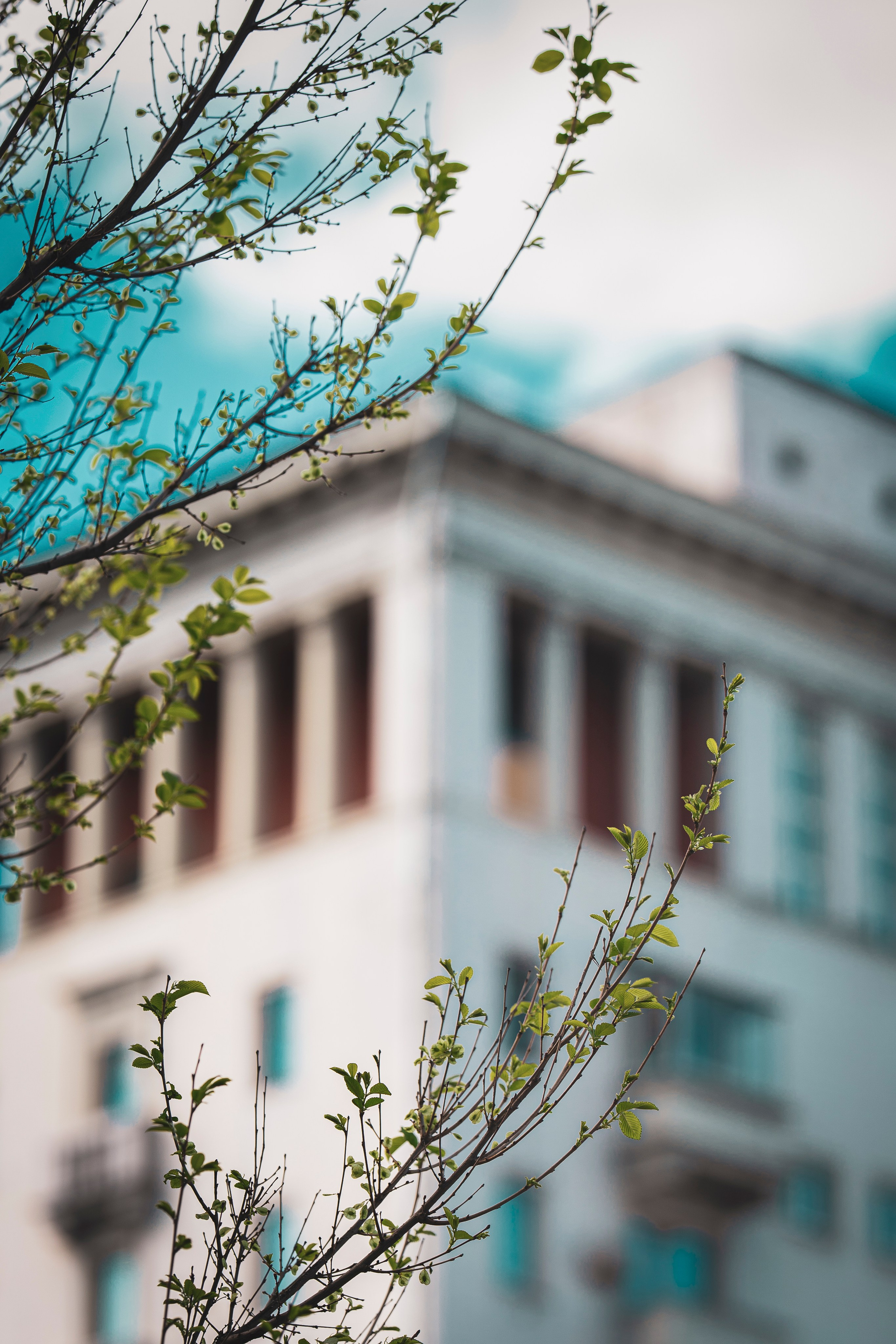 Стрит. Портретный фотограф в Москве Мальцев Максим