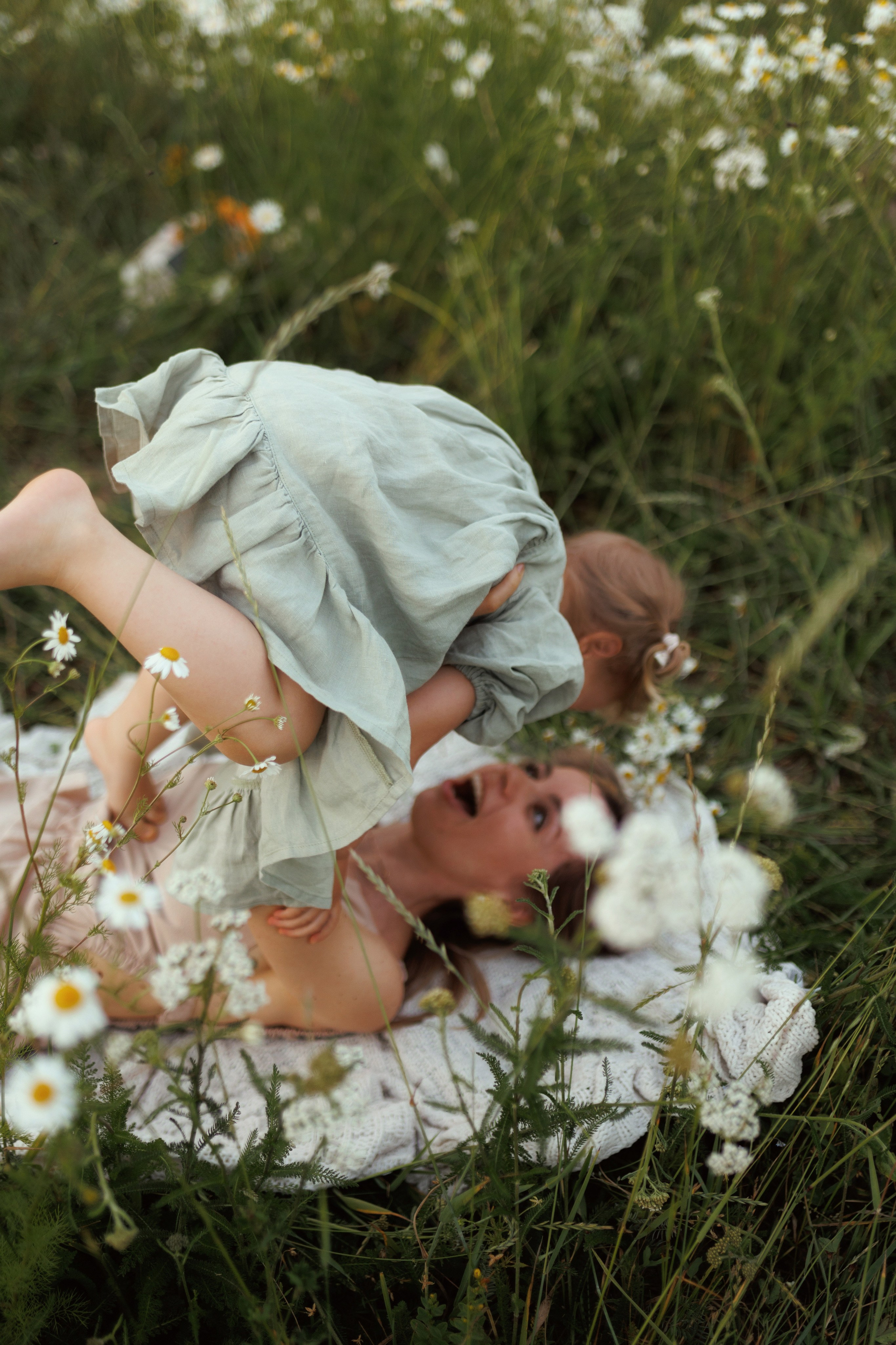 В ромашковом поле. Фотограф в Красногорске и Москве
