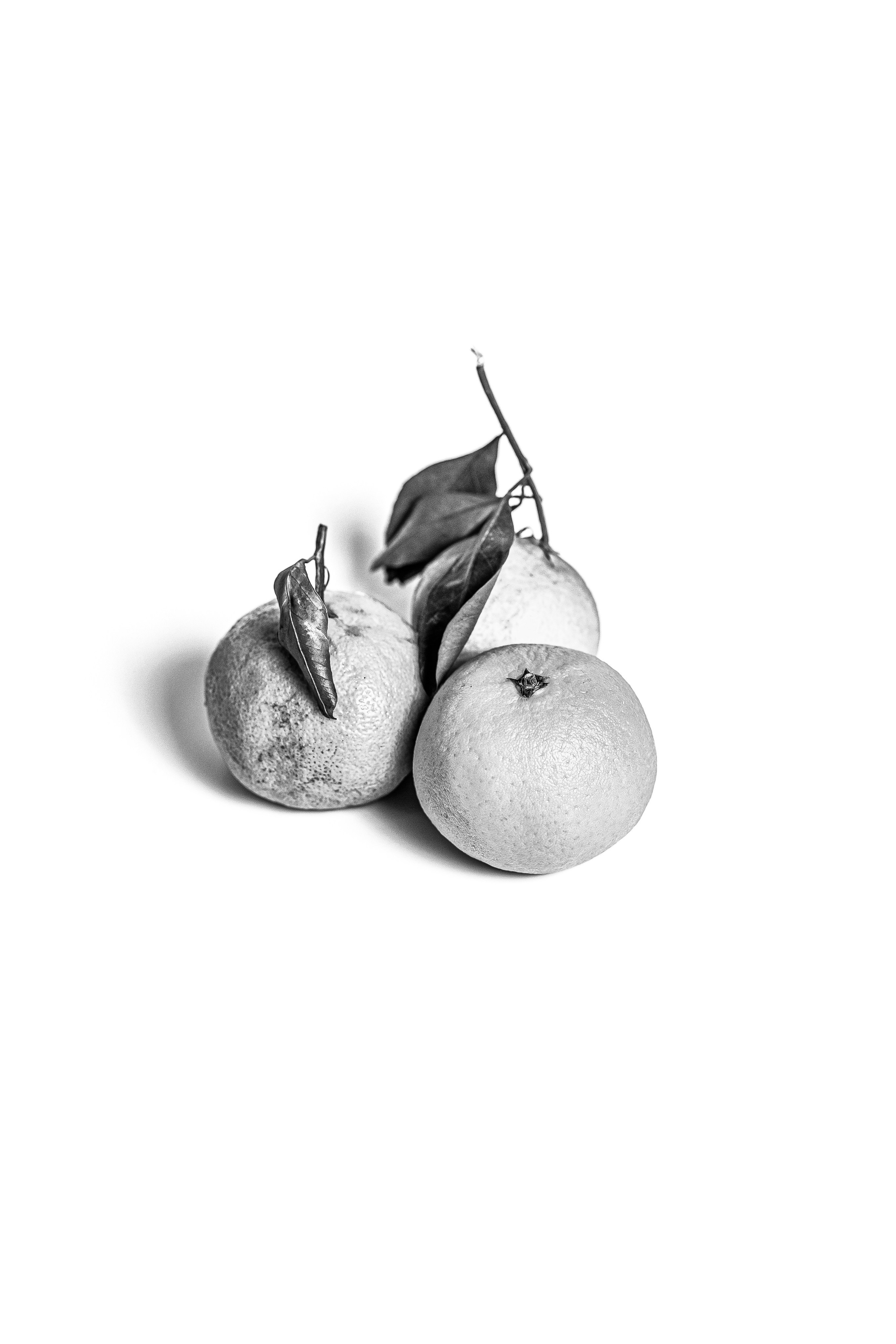 Фуд Фото. Фотограф г. Тамбов г. Воронеж Богдан Тарасов