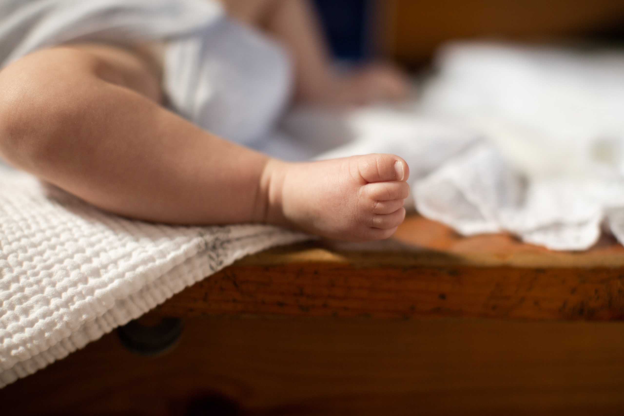 15/05/23. Фотограф НатаФото (Наталья Яковенко) Дмитров Москва Питер