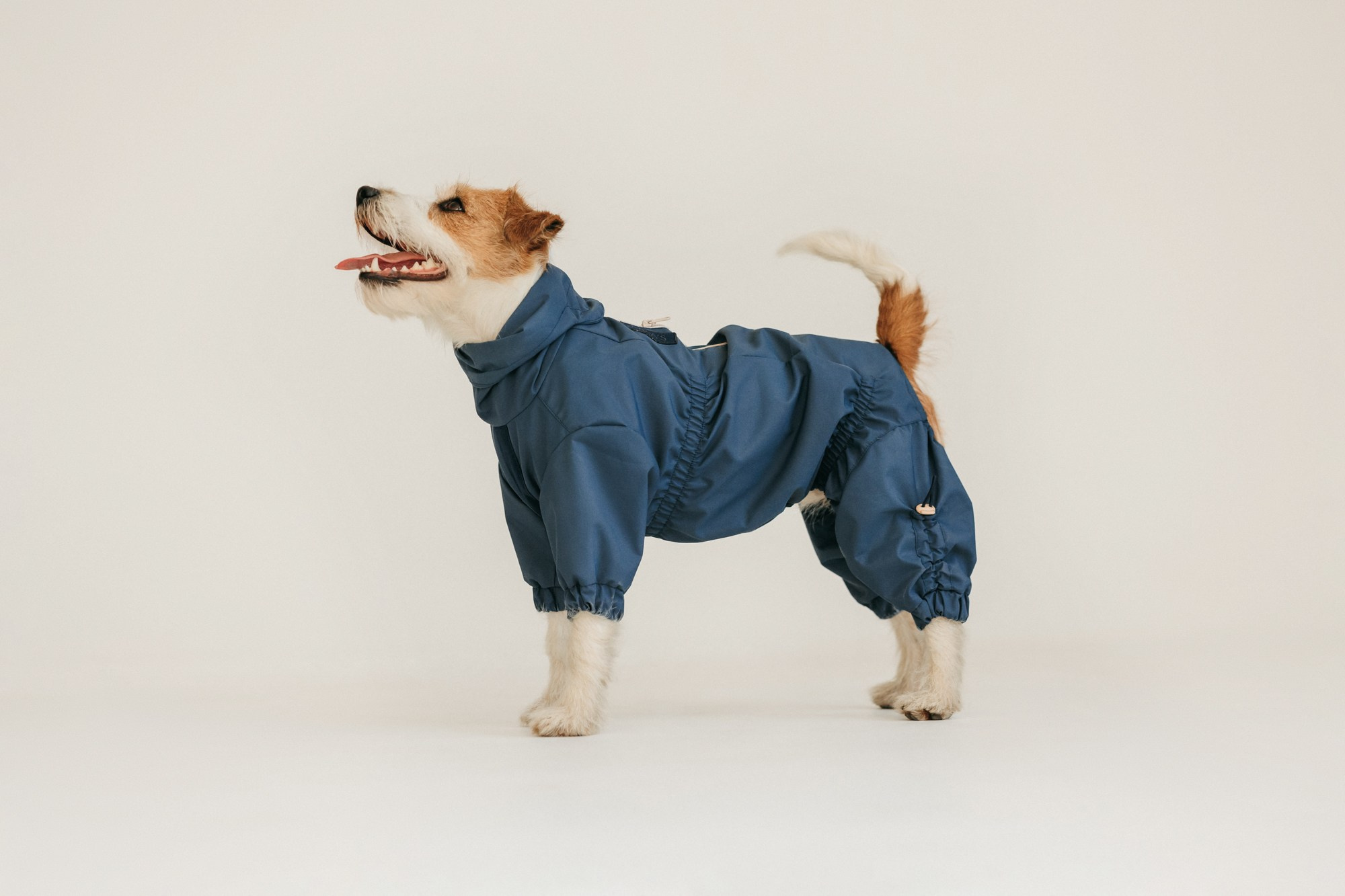 Одежда Lapa`s brand. Фотограф-анималист Елена Радченко, Москва