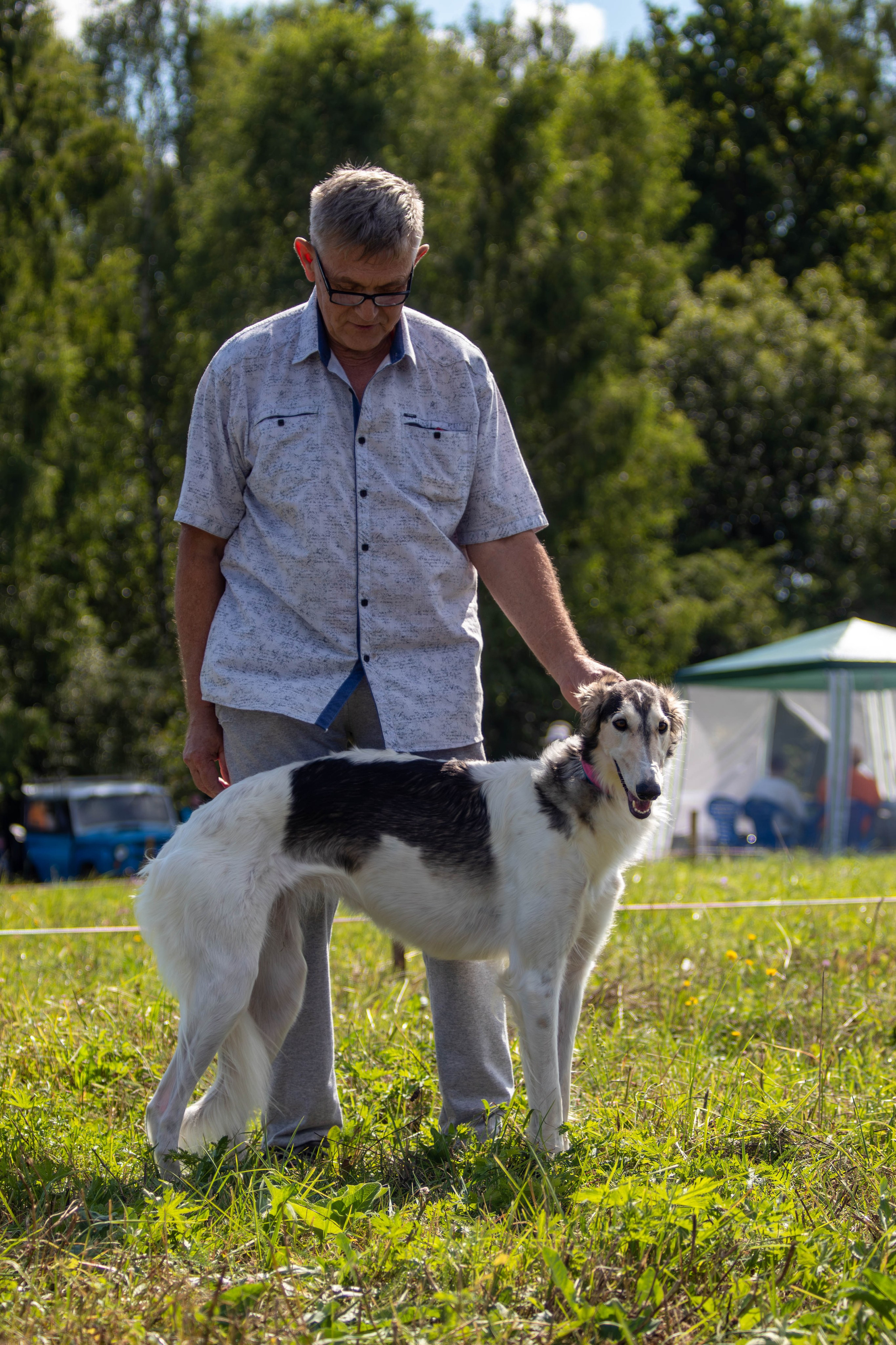 Репортажная съемка в Туле. Фотограф анималист — Тула, Москва