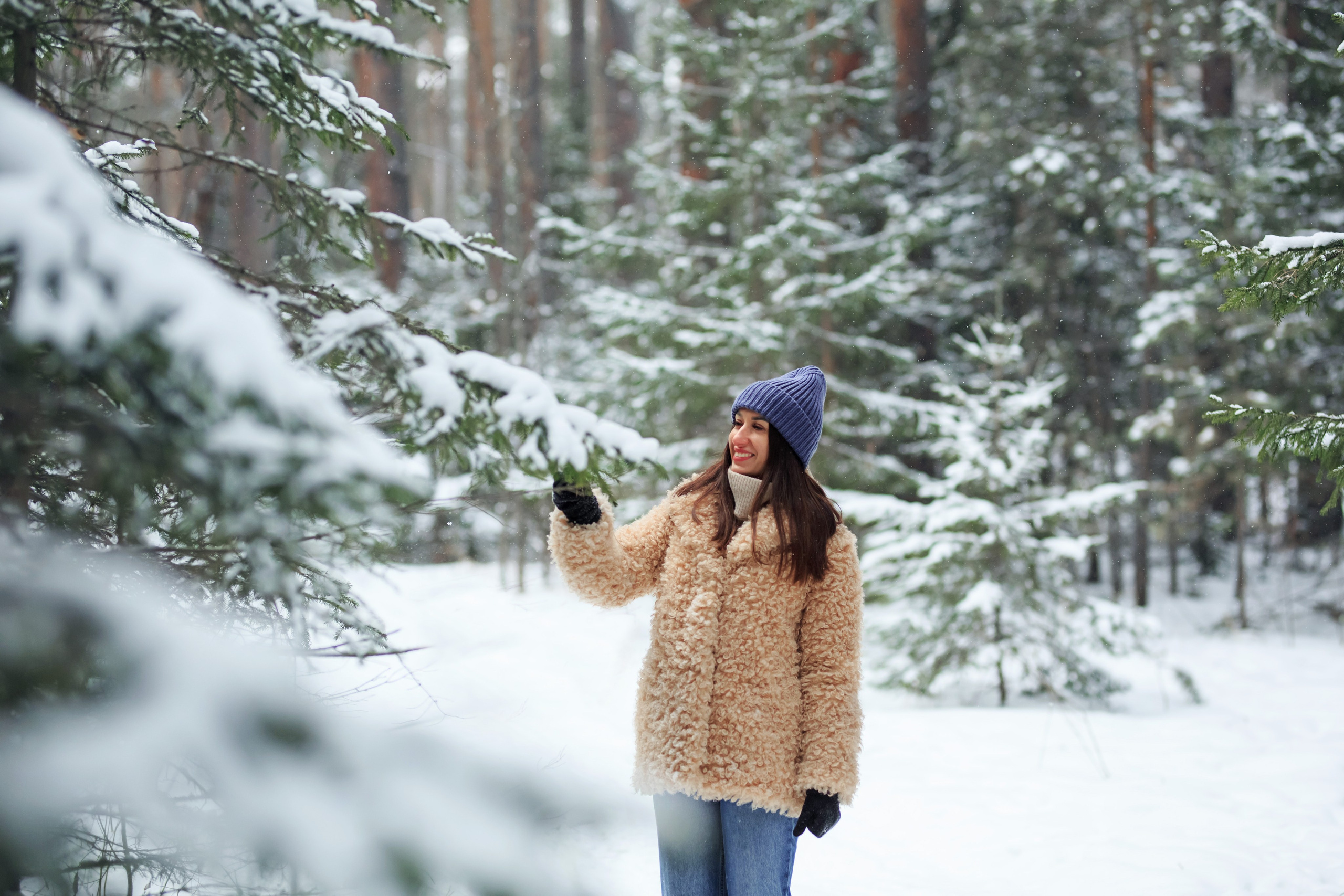 Зимний лес. Сайт