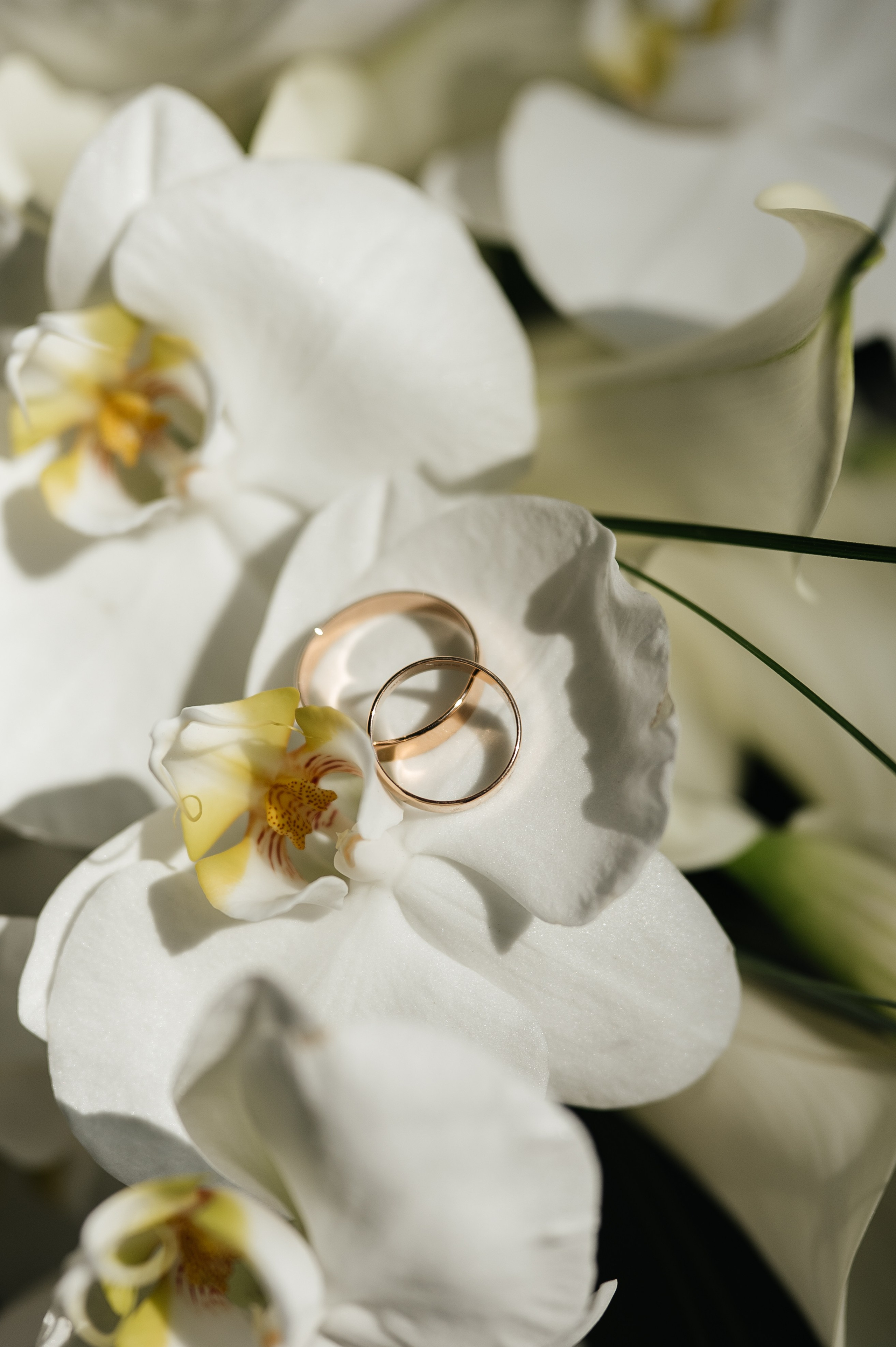 Генрих и Ксения. Свадебный и семейный фотограф в Краснодаре Алина Мельник