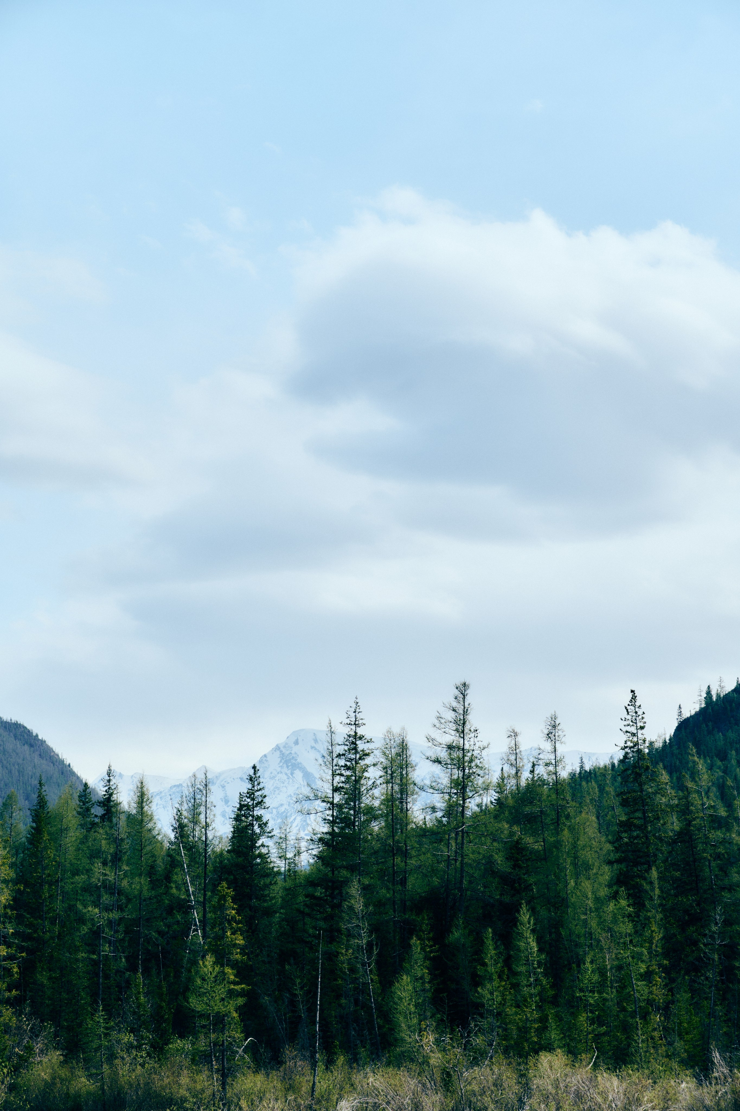 BAON x ALTAY. Фотограф Сурков Никита