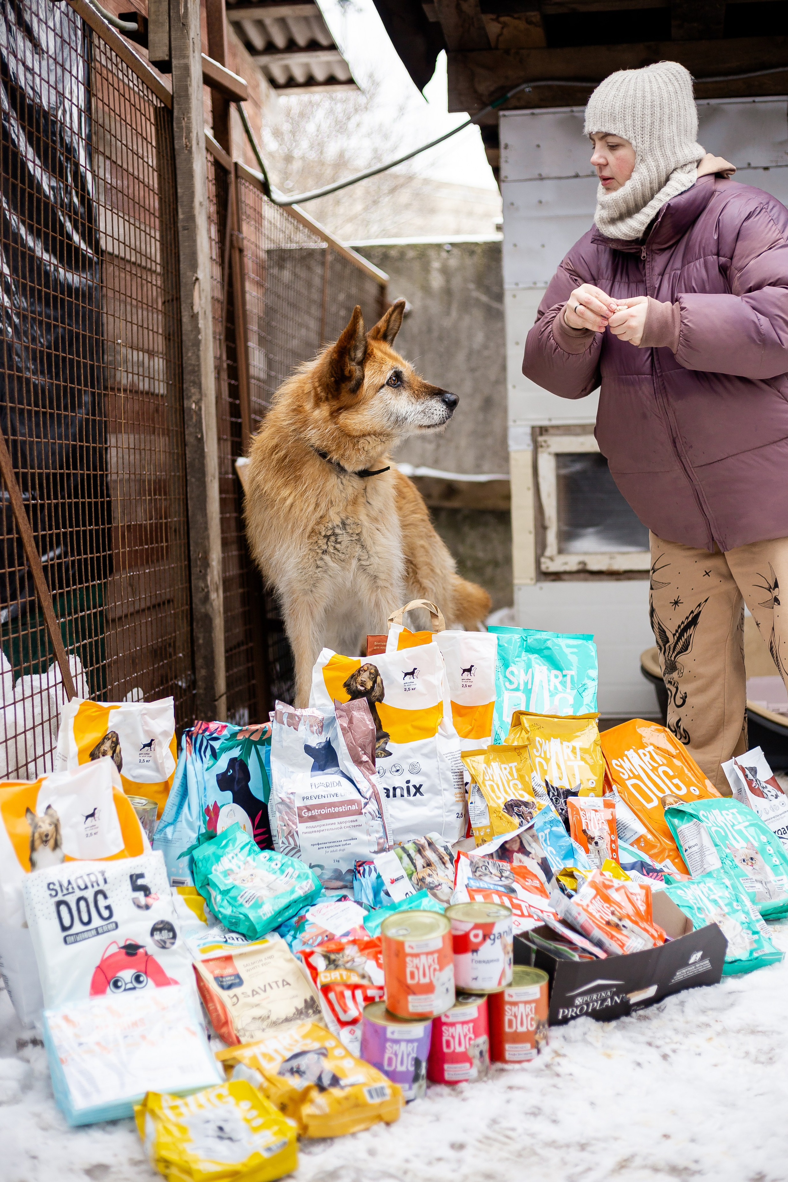Petshop Забота. Фотограф в Санкт-Петербурге Чумаков Семен