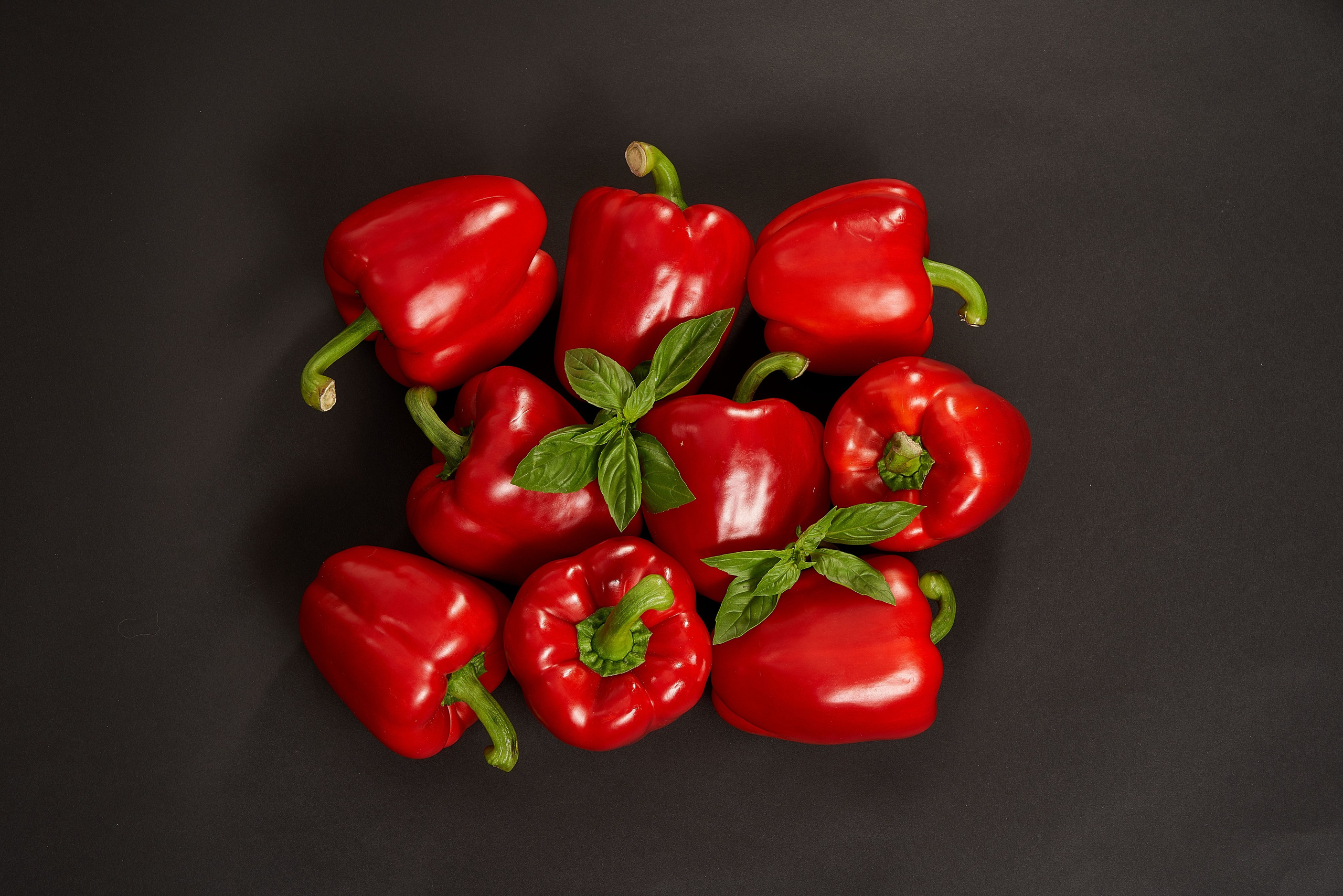 Without PROCESSING. Max Matvich and Victoria Basova are professionals in their field