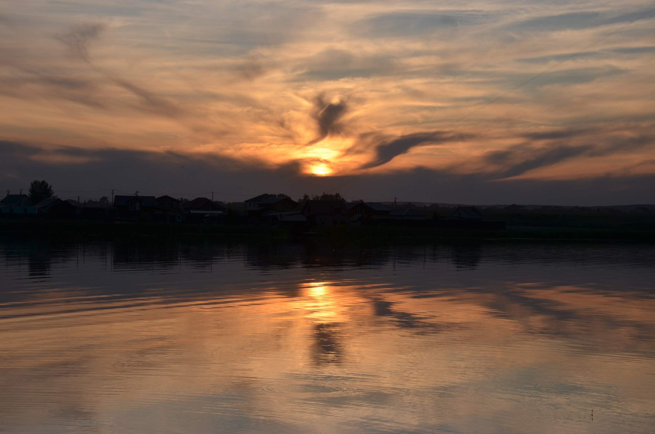 Дары природы. Фотограф viktor viktor