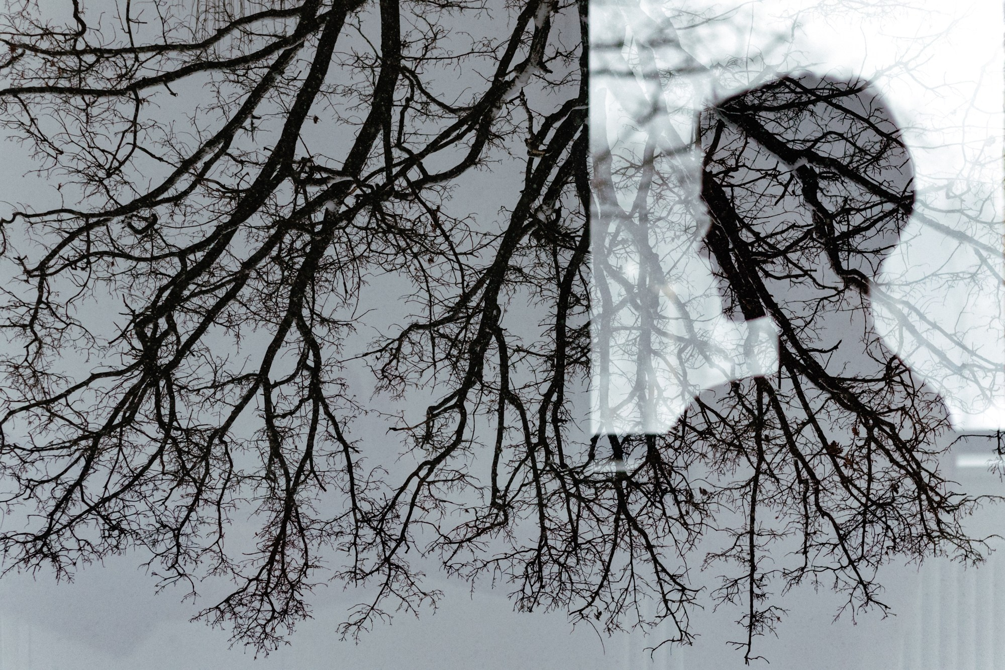 Со-бытие декабрь. Творческий фотограф в Москве Наталья Ермолова