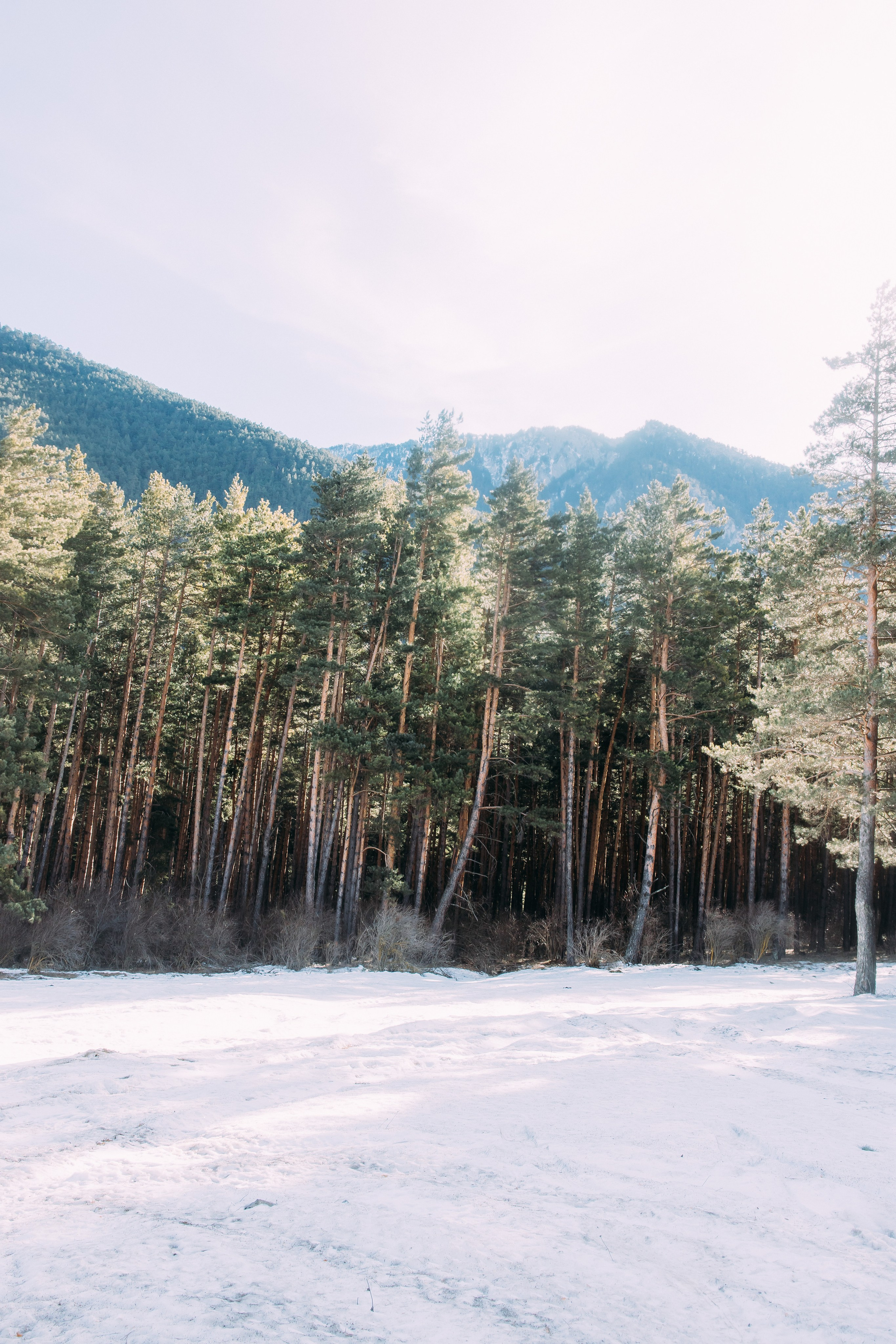 ZHARA TOUR DOMBAY | 2025 | PART2. ZHARA CREW