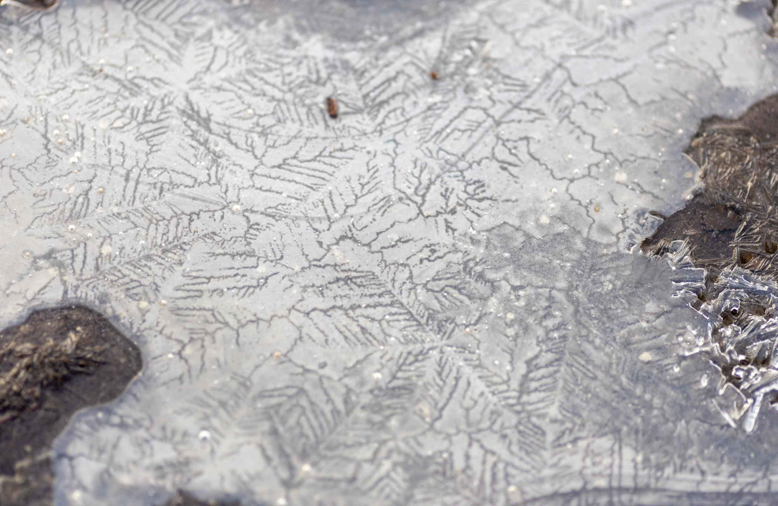 Природные пейзажи. Наталия Клевинскас портретный фотограф в Костроме