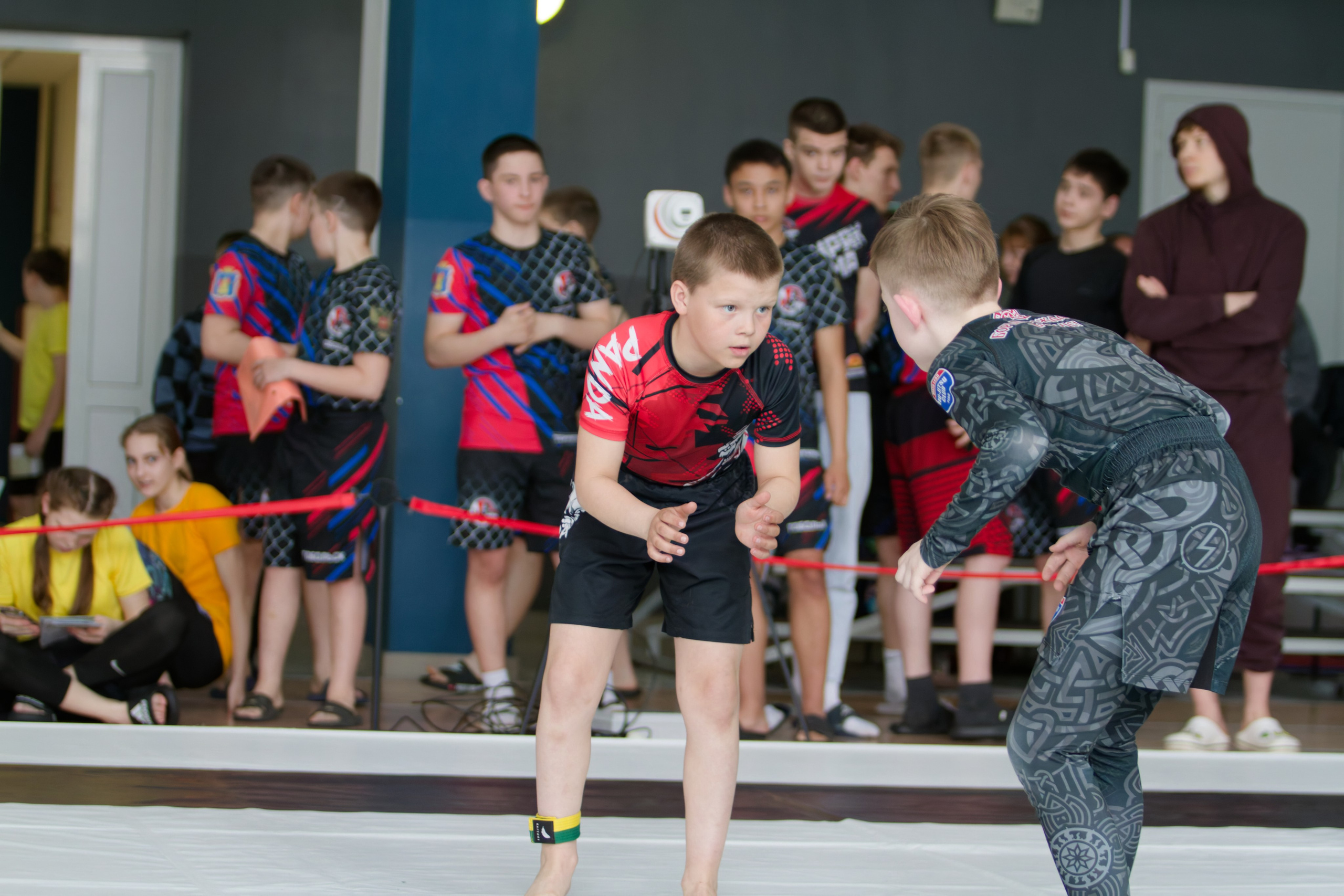 Борьба. Джиу-джитсу 26.04.2025. Репортажный и спортивный фотограф в г. Пермь Зильберг Павел