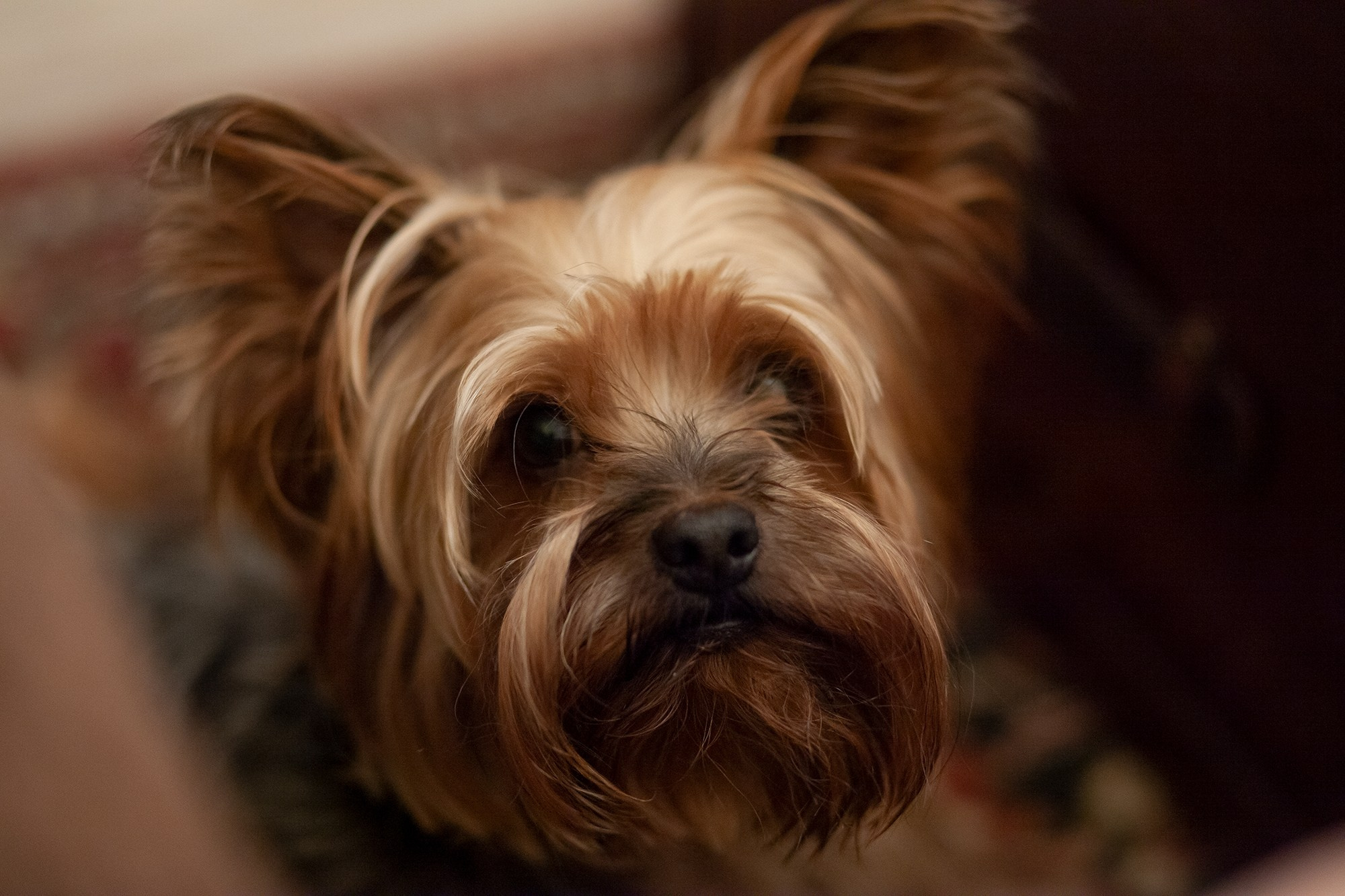 Мир вокруг. Фотограф и психолог Мария Маринова