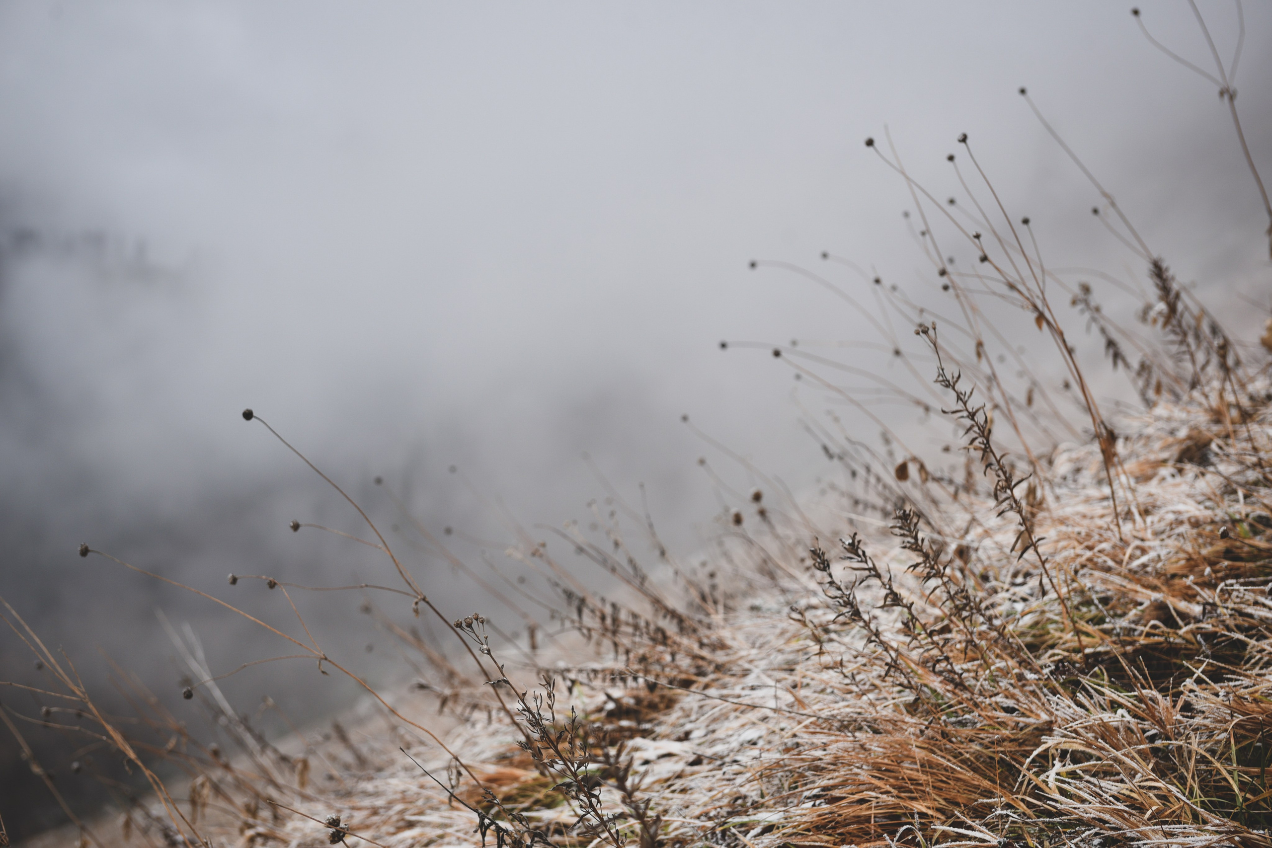 Nature. Anastasia Serdyuk, travel photographer, travel photo, portraits, stories, fineart prints