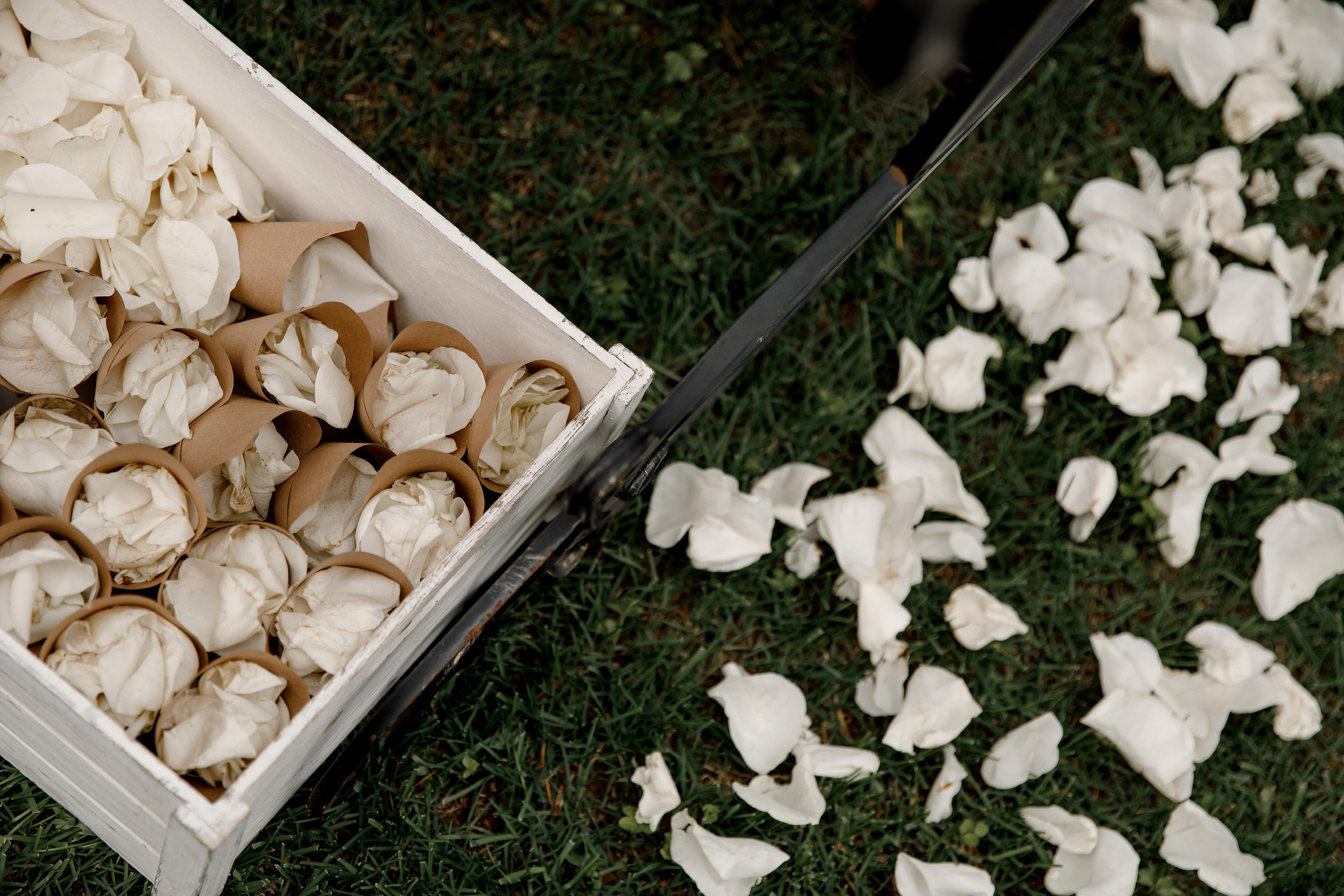 Мария и Александр. Свадебный и семейный фотограф в Москве