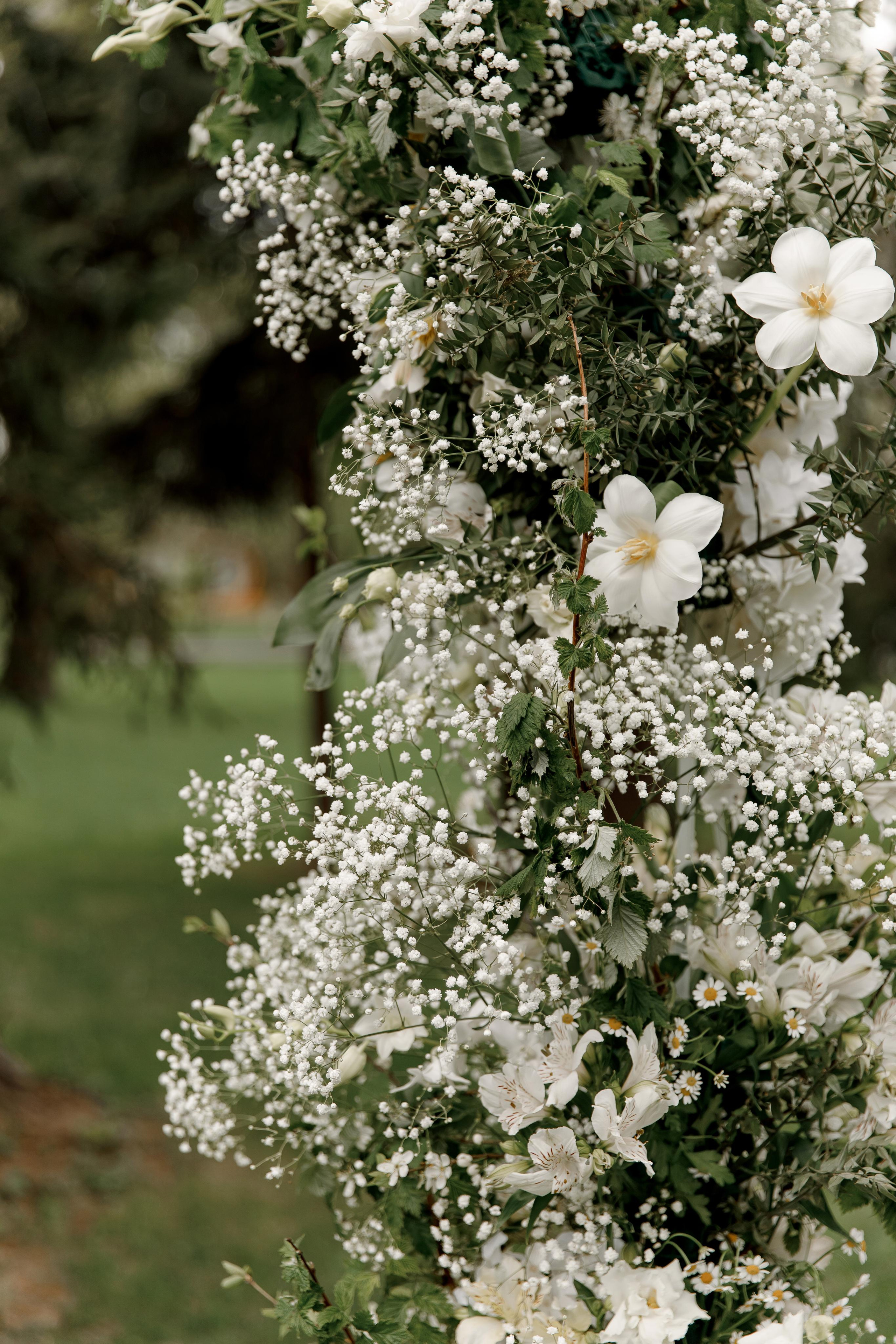 Мария и Александр. Свадебный и семейный фотограф в Москве