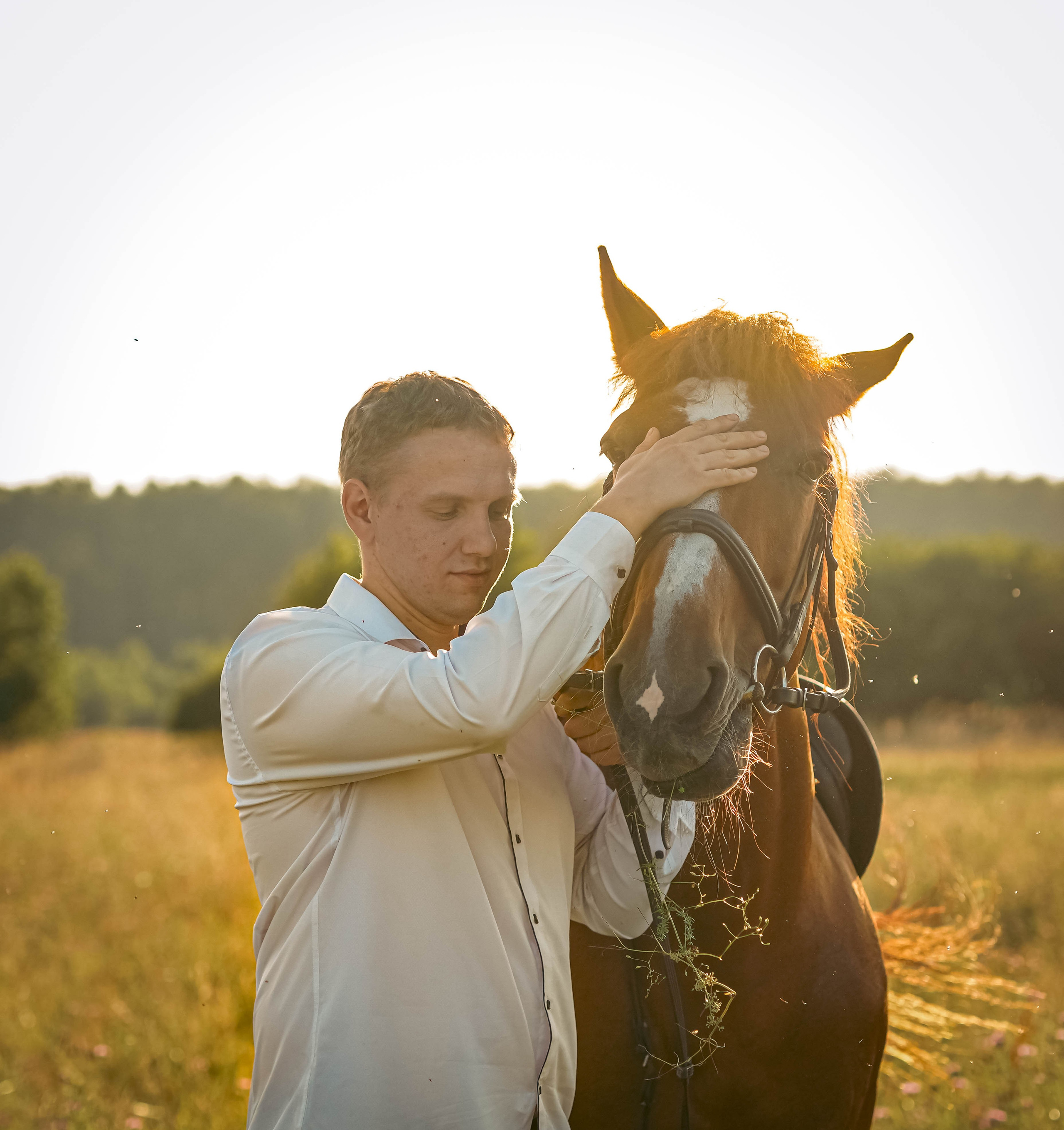 Свадьба на лошадях. Фотограф в Москве Полина Ефремова