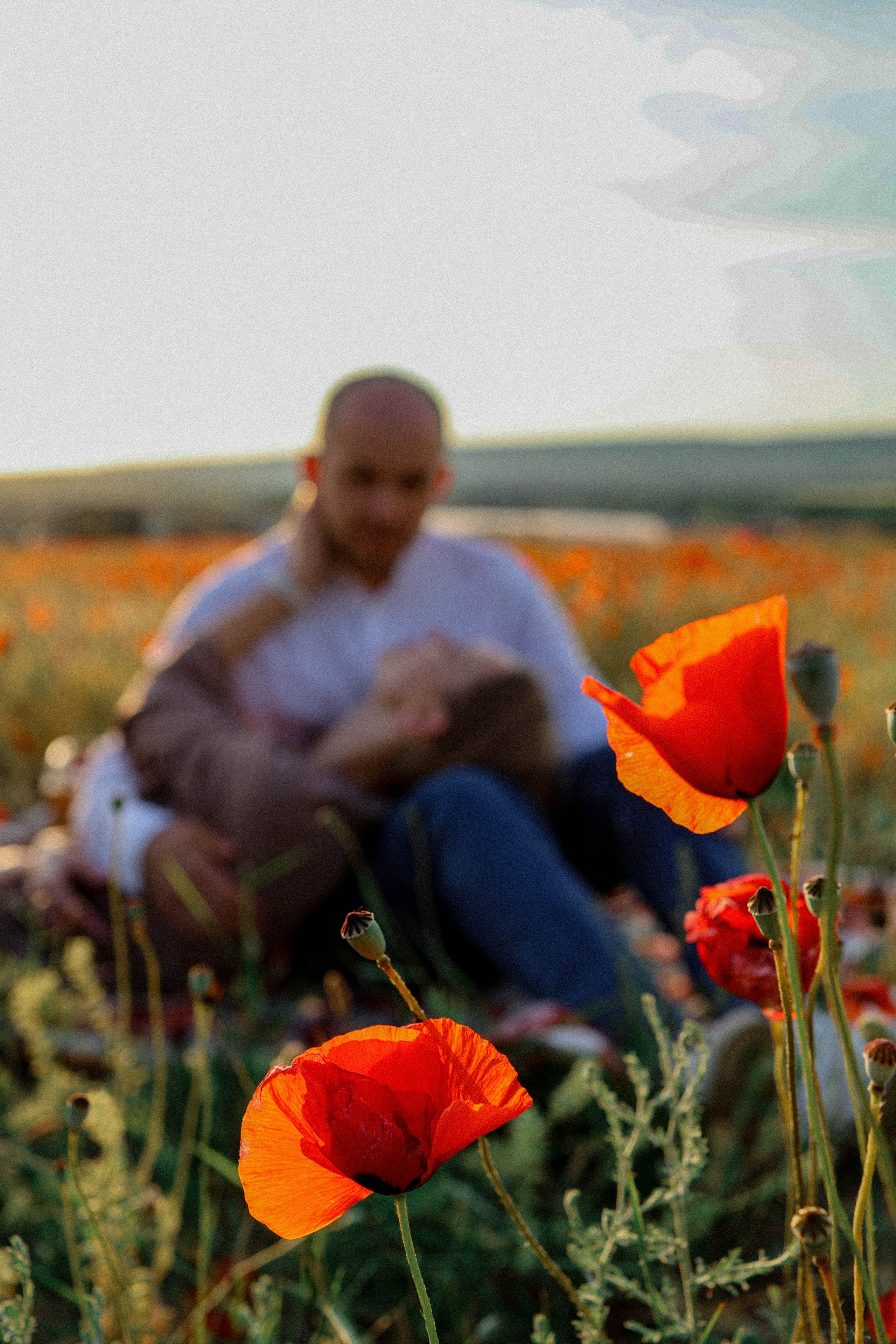 Маковая история. Фотограф Немазенко Ольга