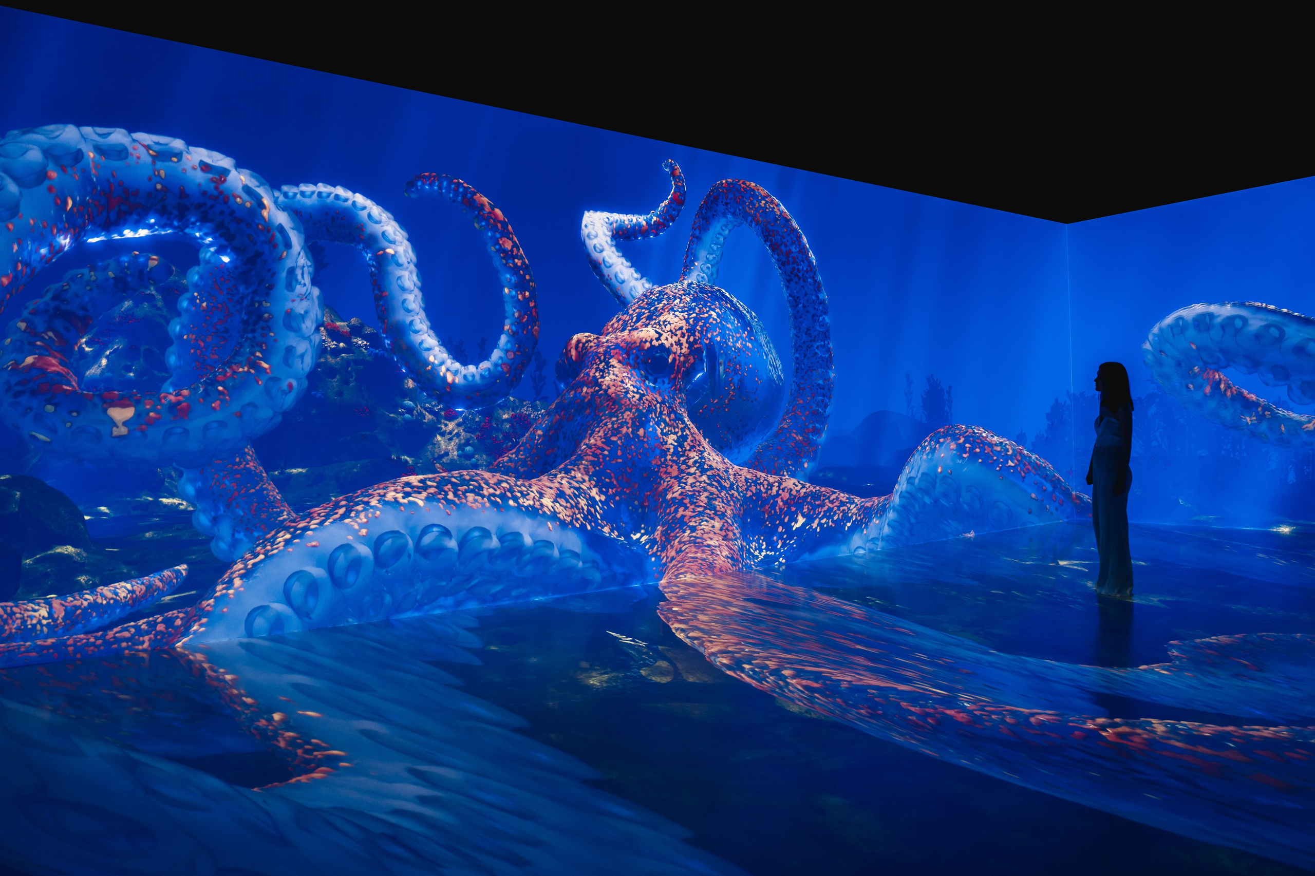 VI Ocean, Tutankhamun, SILA SVETA. @tomrus: Рустам Шагиморданов — фотограф