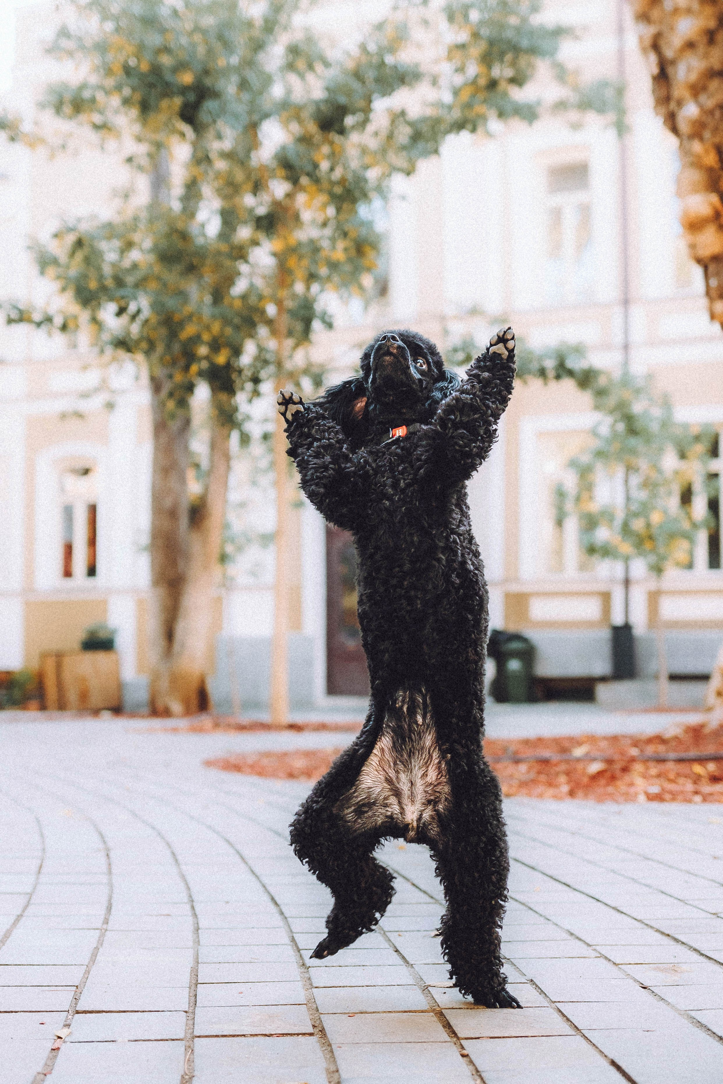 Игнат, Даша и Бэтти