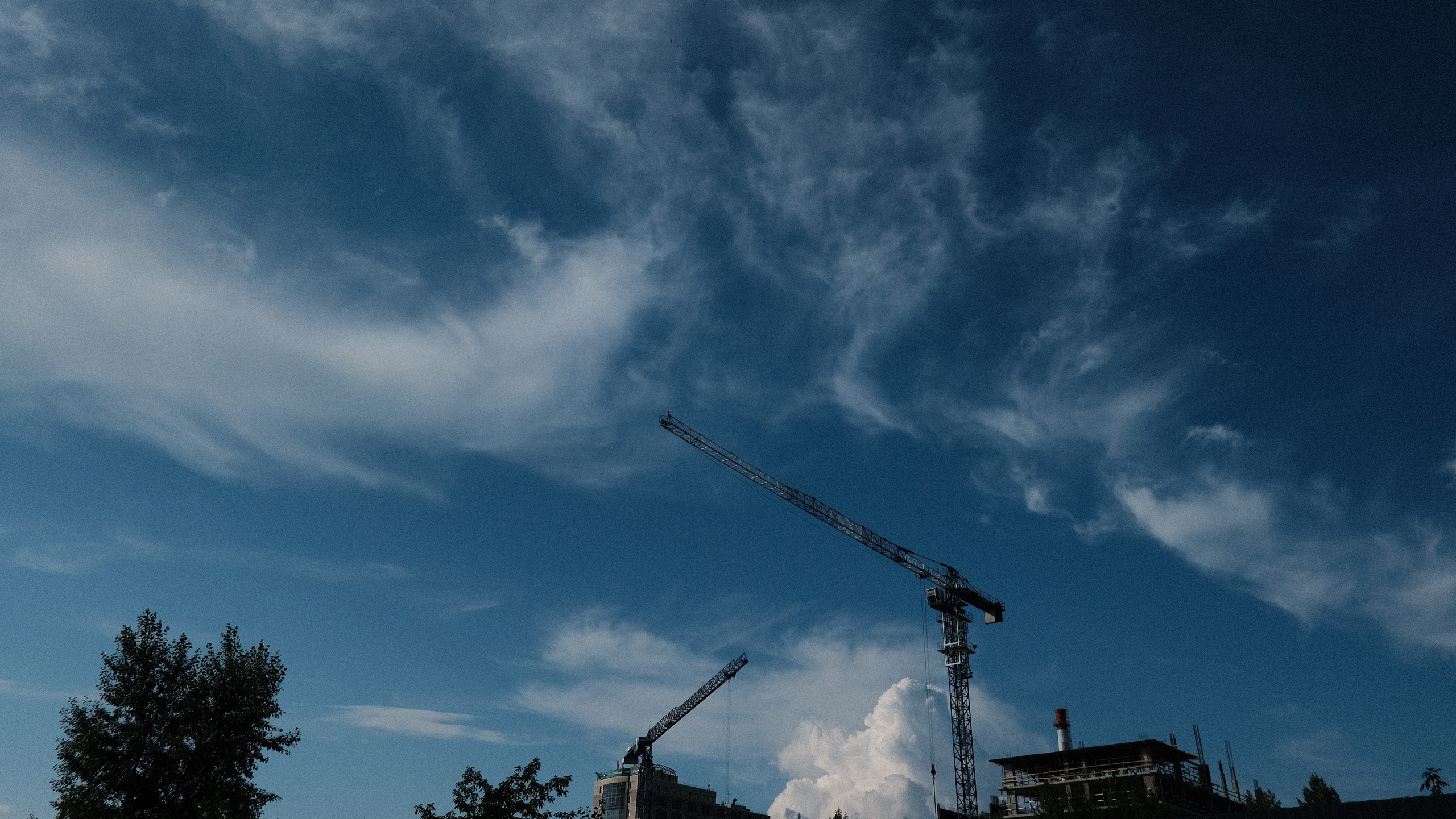 Наблюдения. Семейный фотограф в Новосибирске Артём Кузнецов