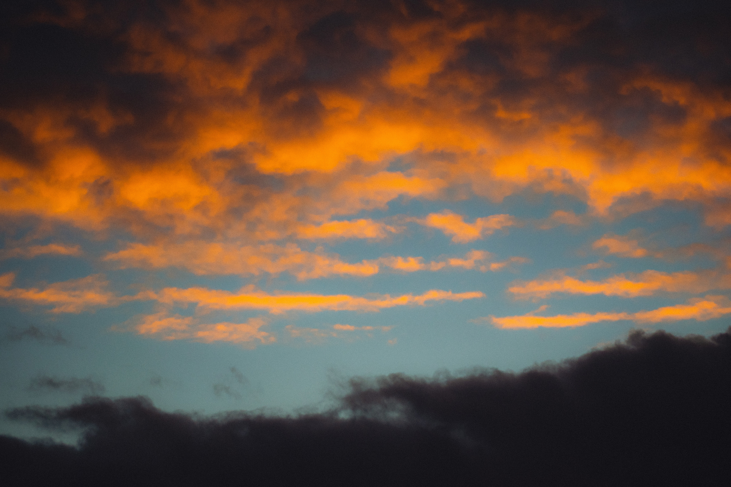 История в зимней деревне. Фотограф в Санкт-Петербурге