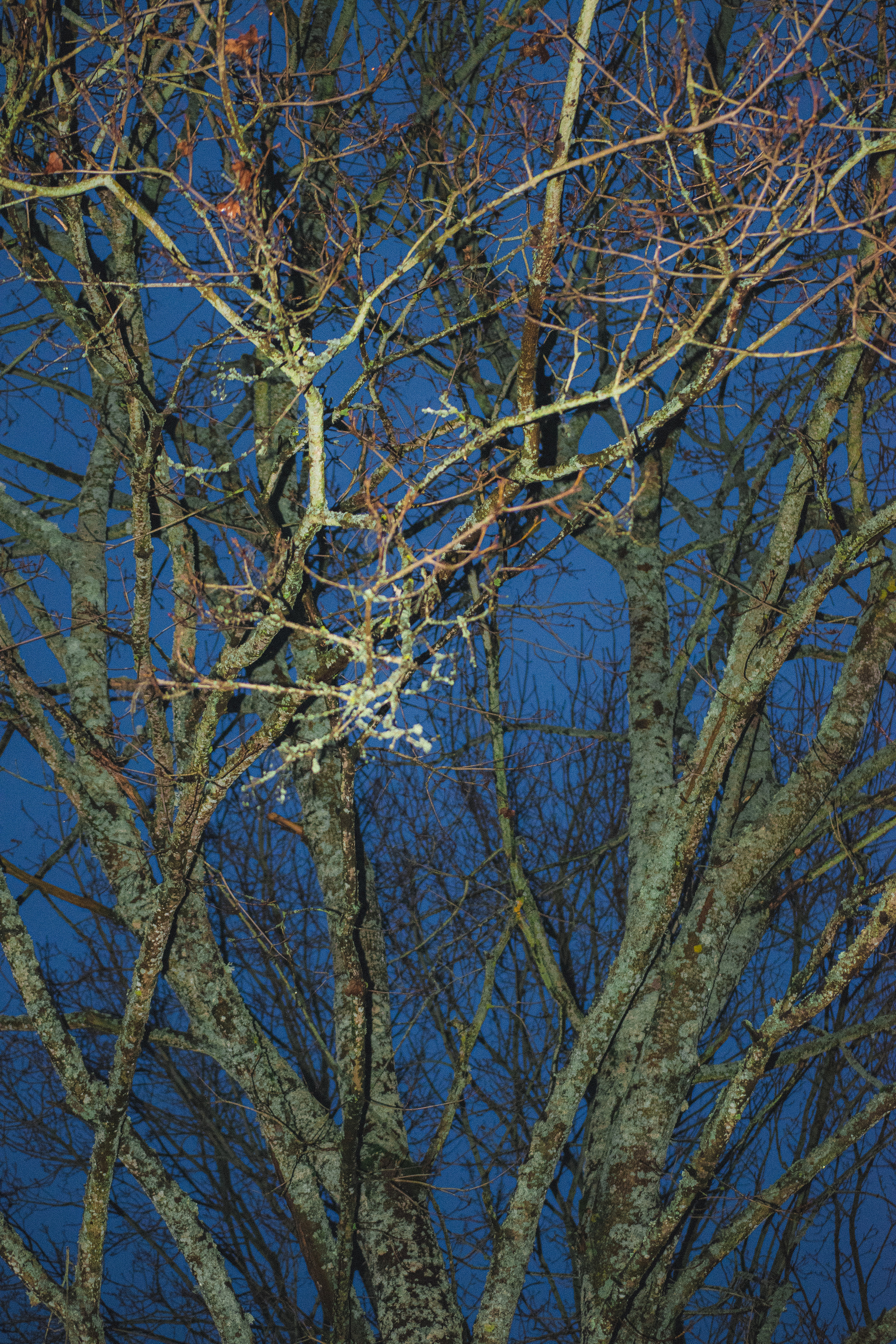 История в зимней деревне. Фотограф в Санкт-Петербурге