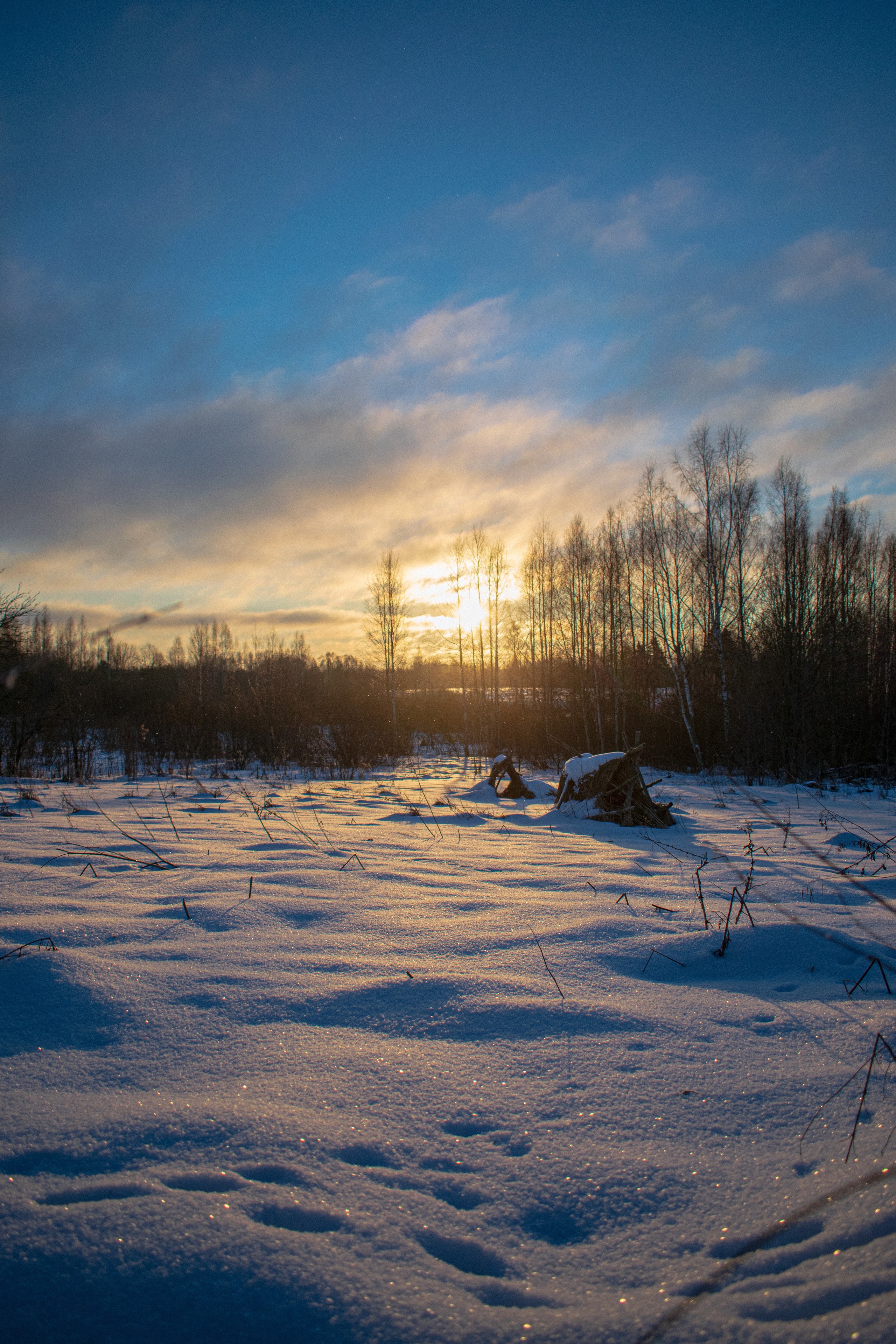 История в зимней деревне. Фотограф в Санкт-Петербурге