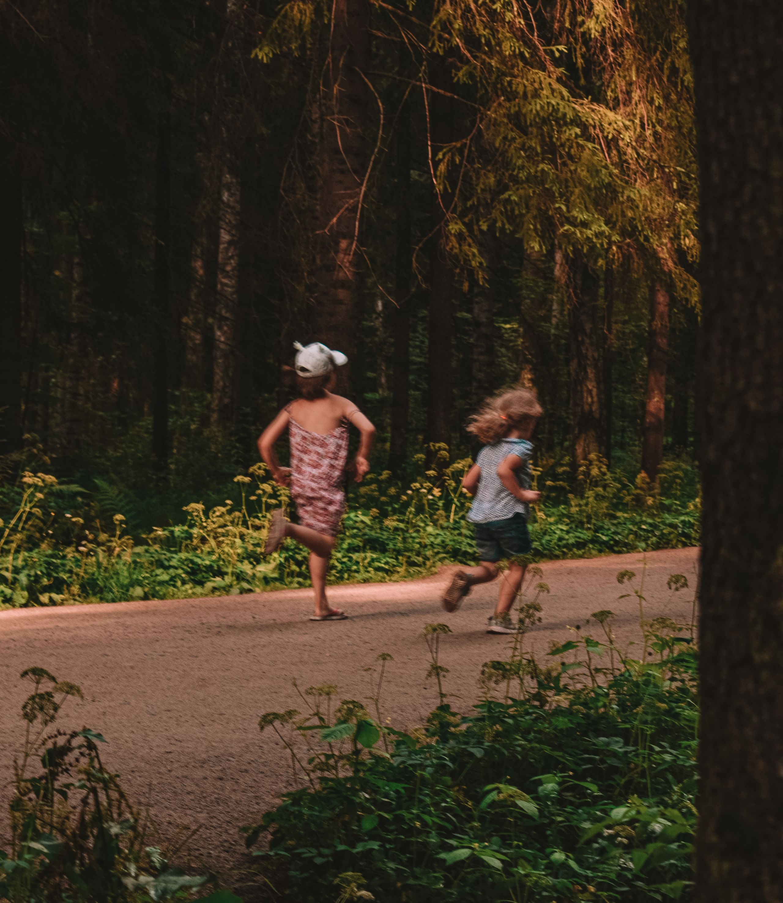История в Павловском парке. Фотограф в Санкт-Петербурге