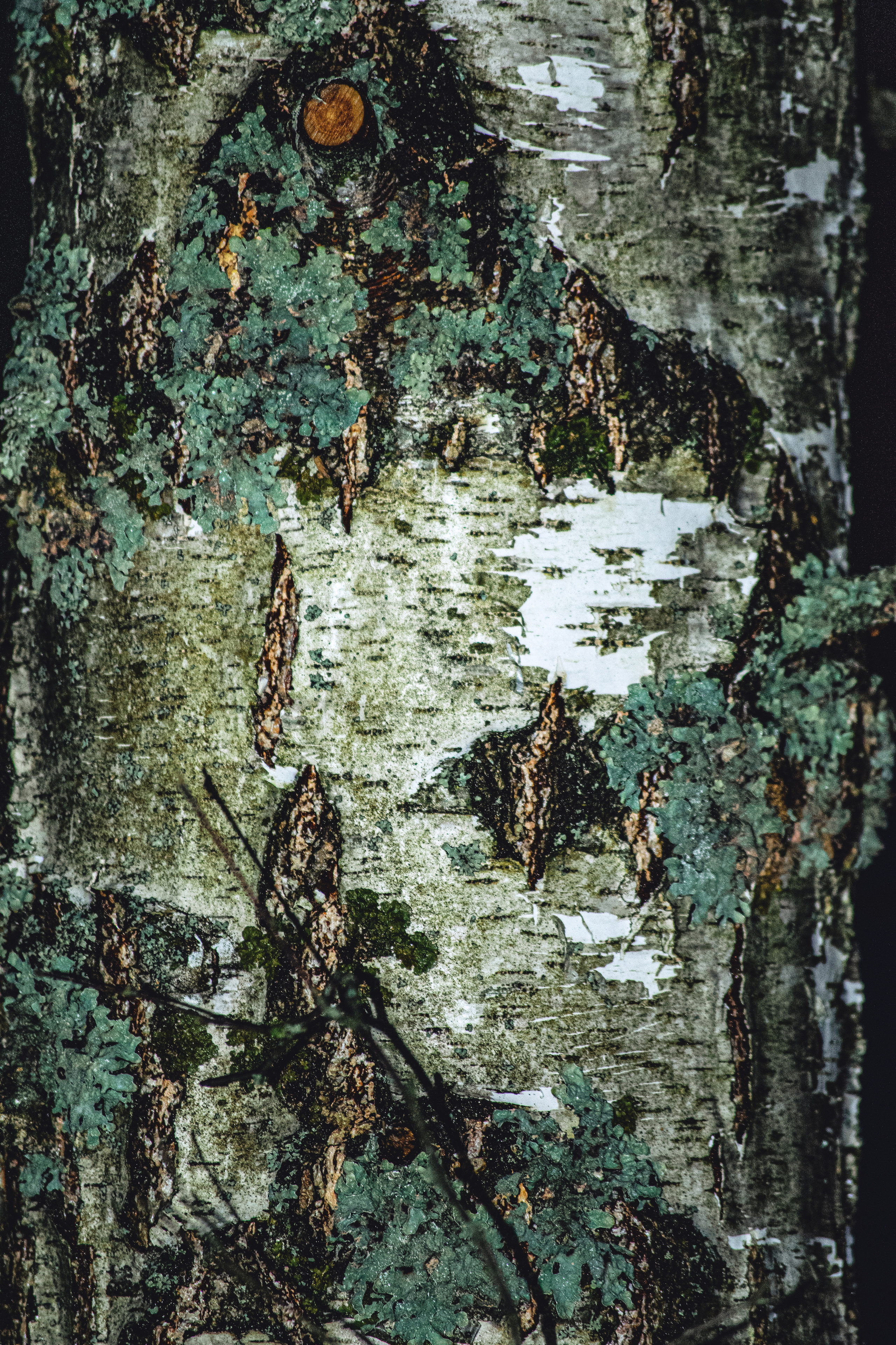 История в зимней деревне. Фотограф в Санкт-Петербурге