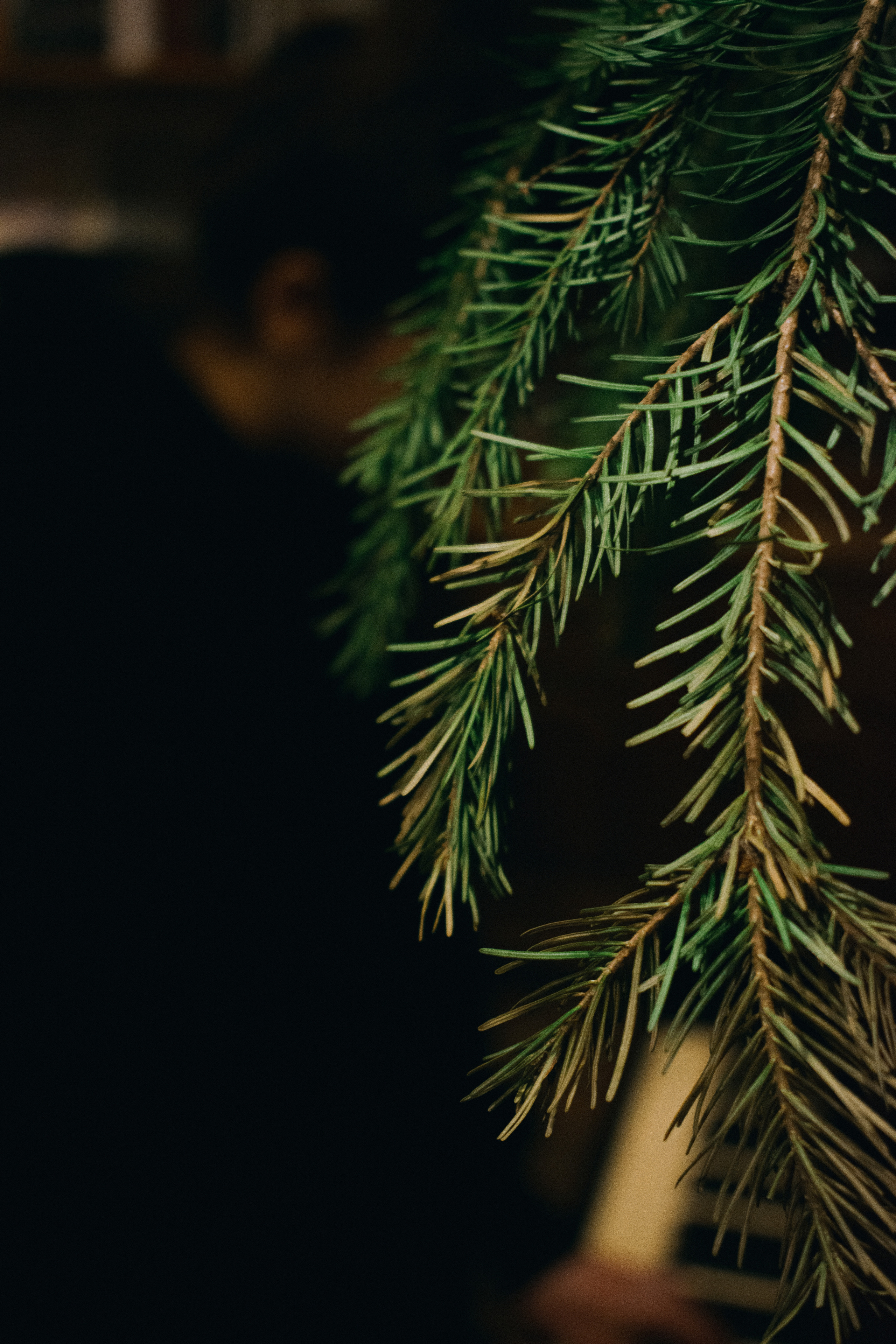 Отчетный концерт. Фотограф в Санкт-Петербурге