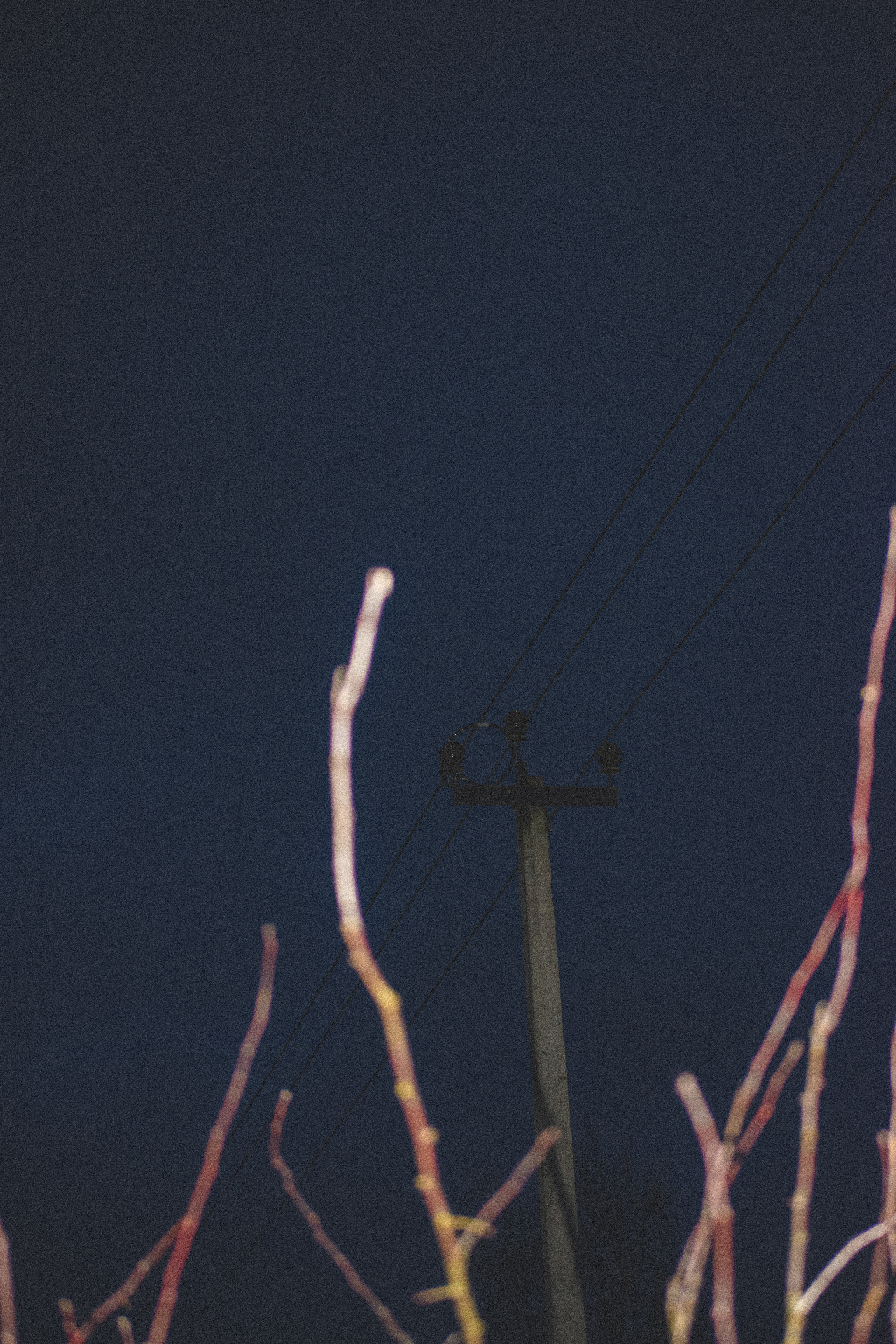 История в зимней деревне. Фотограф в Санкт-Петербурге