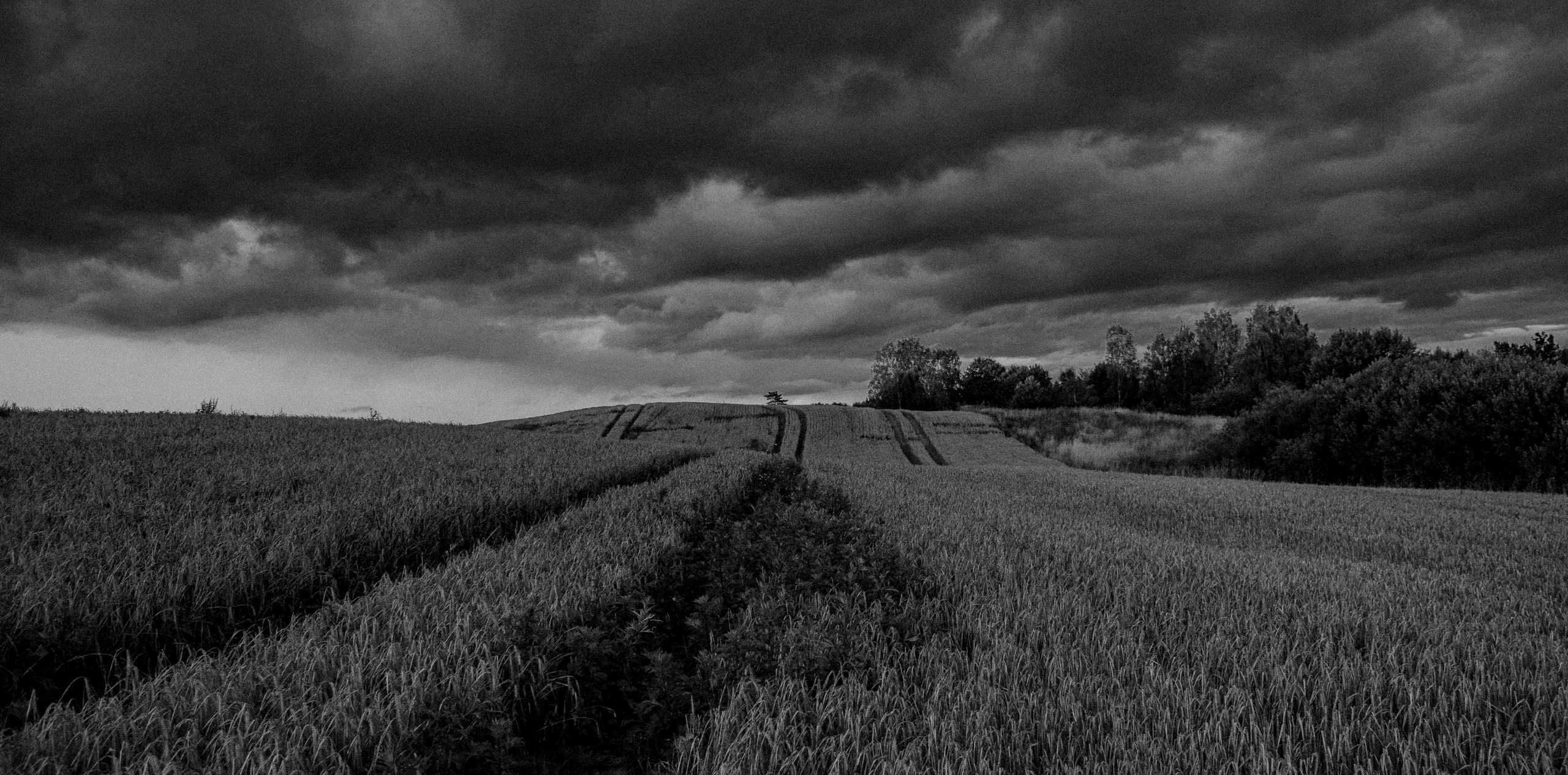 LANDSCAPES. Фотограф в Санкт-Петербурге