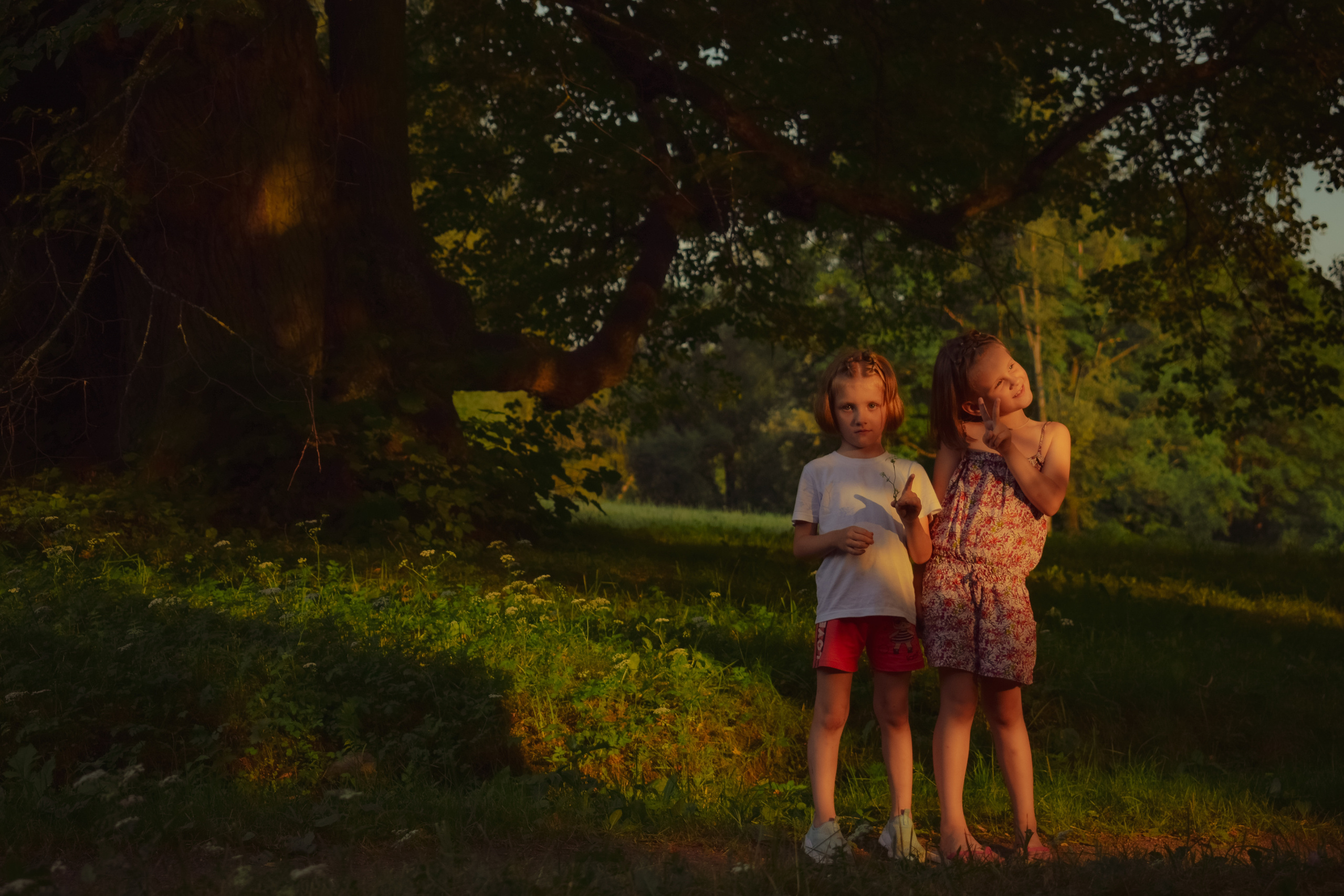 История в Павловском парке. Фотограф в Санкт-Петербурге