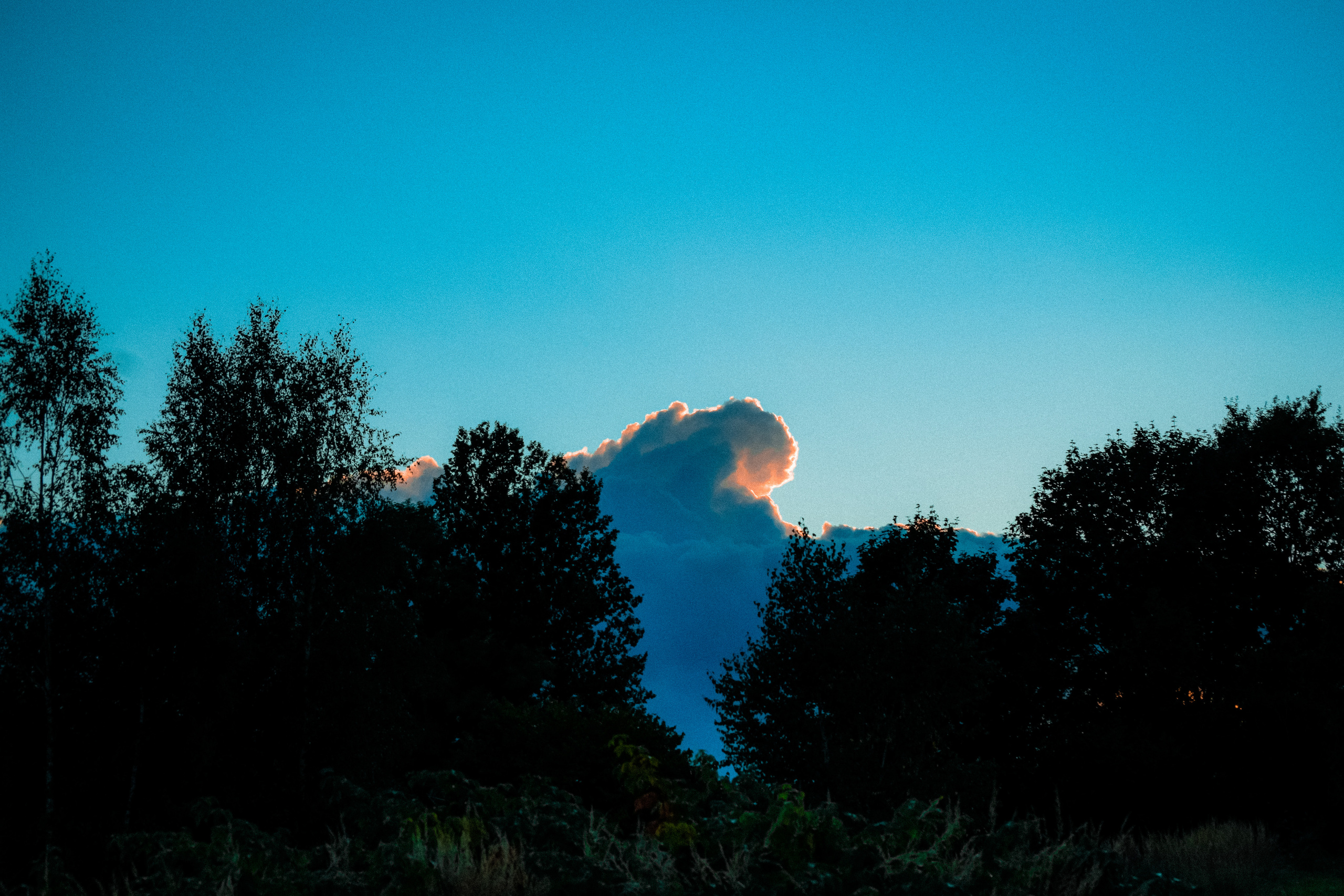 LANDSCAPES. Фотограф в Санкт-Петербурге