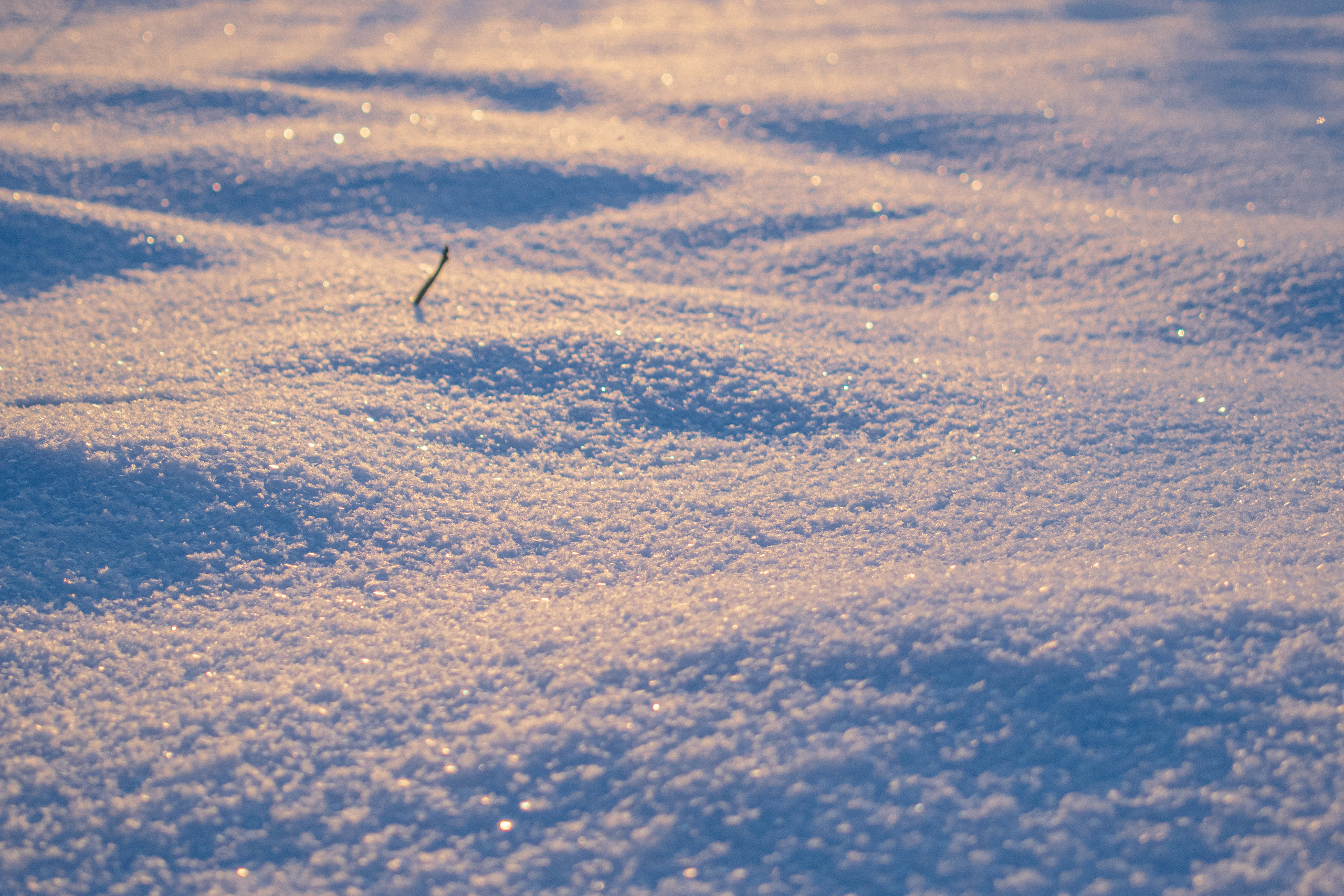 История в зимней деревне. Фотограф в Санкт-Петербурге