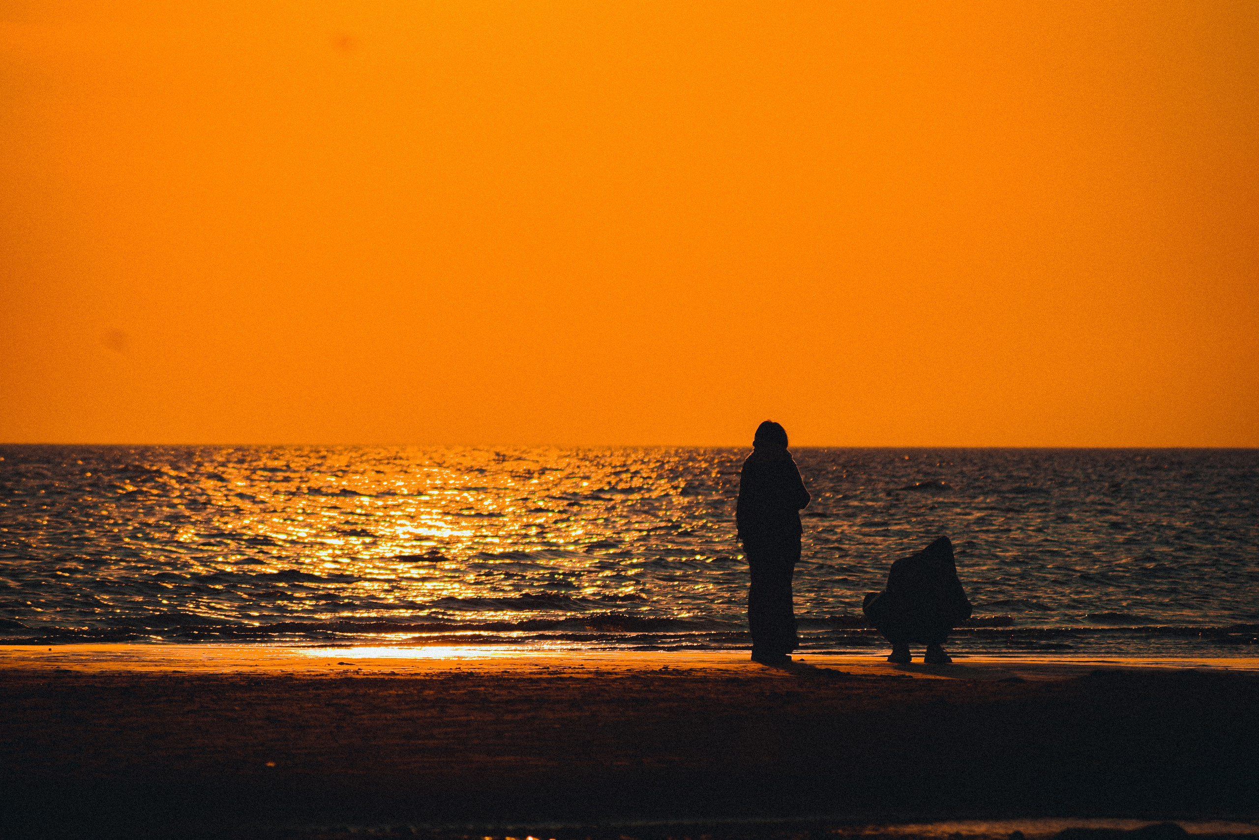Осень. История в Комарово. Фотограф в Санкт-Петербурге Дмитрий Скородумов