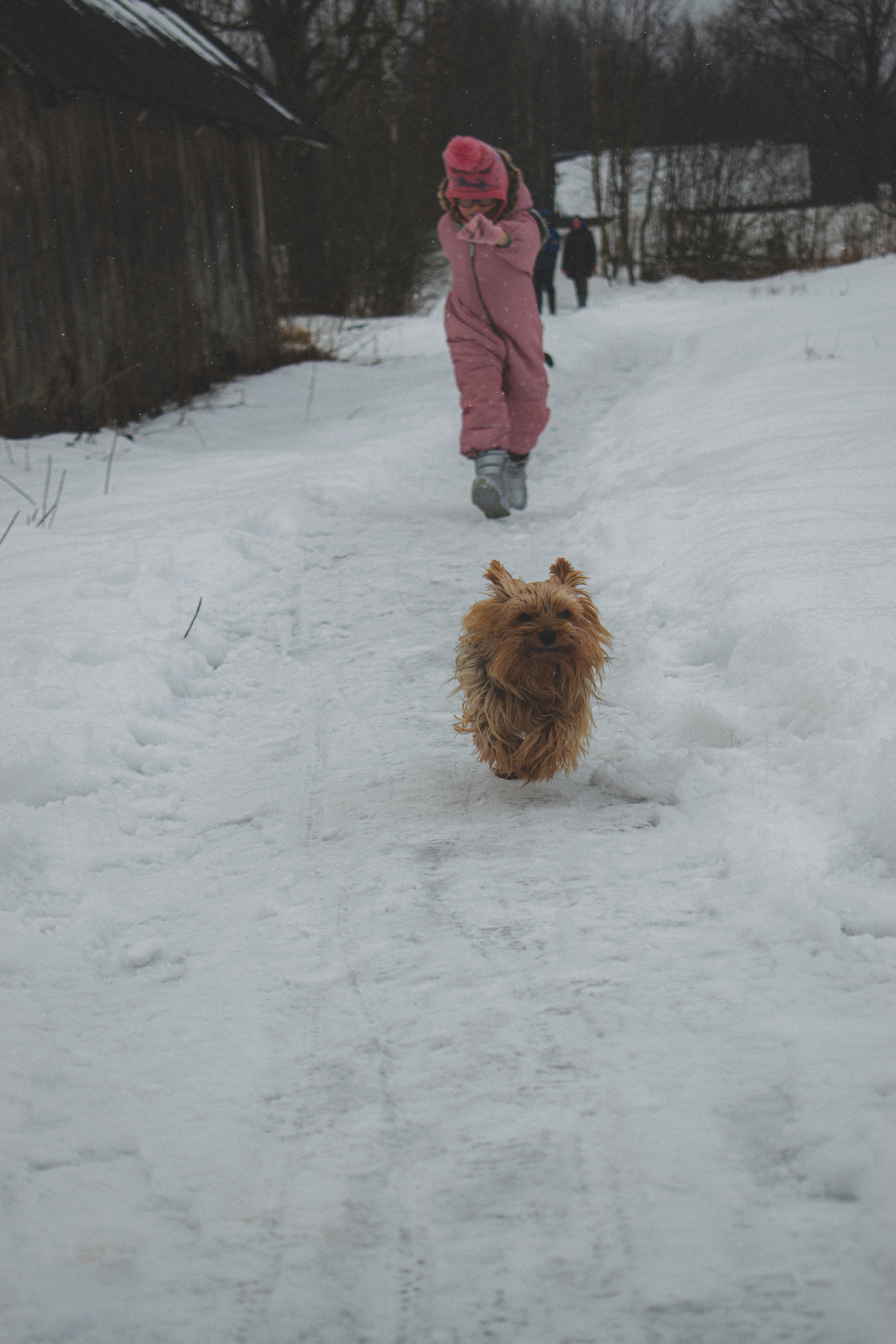 История в зимней деревне. Фотограф в Санкт-Петербурге