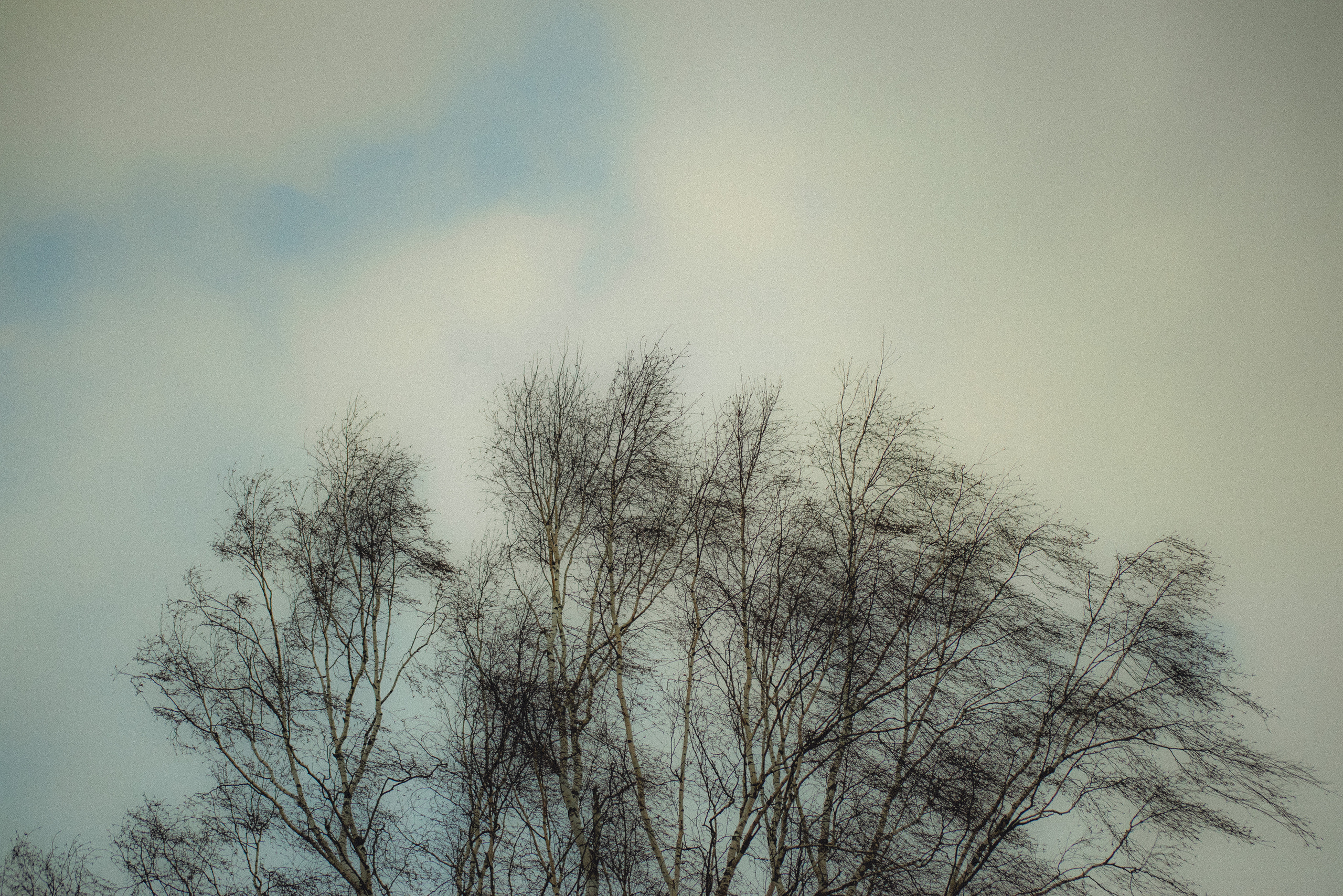 История в зимней деревне. Фотограф в Санкт-Петербурге