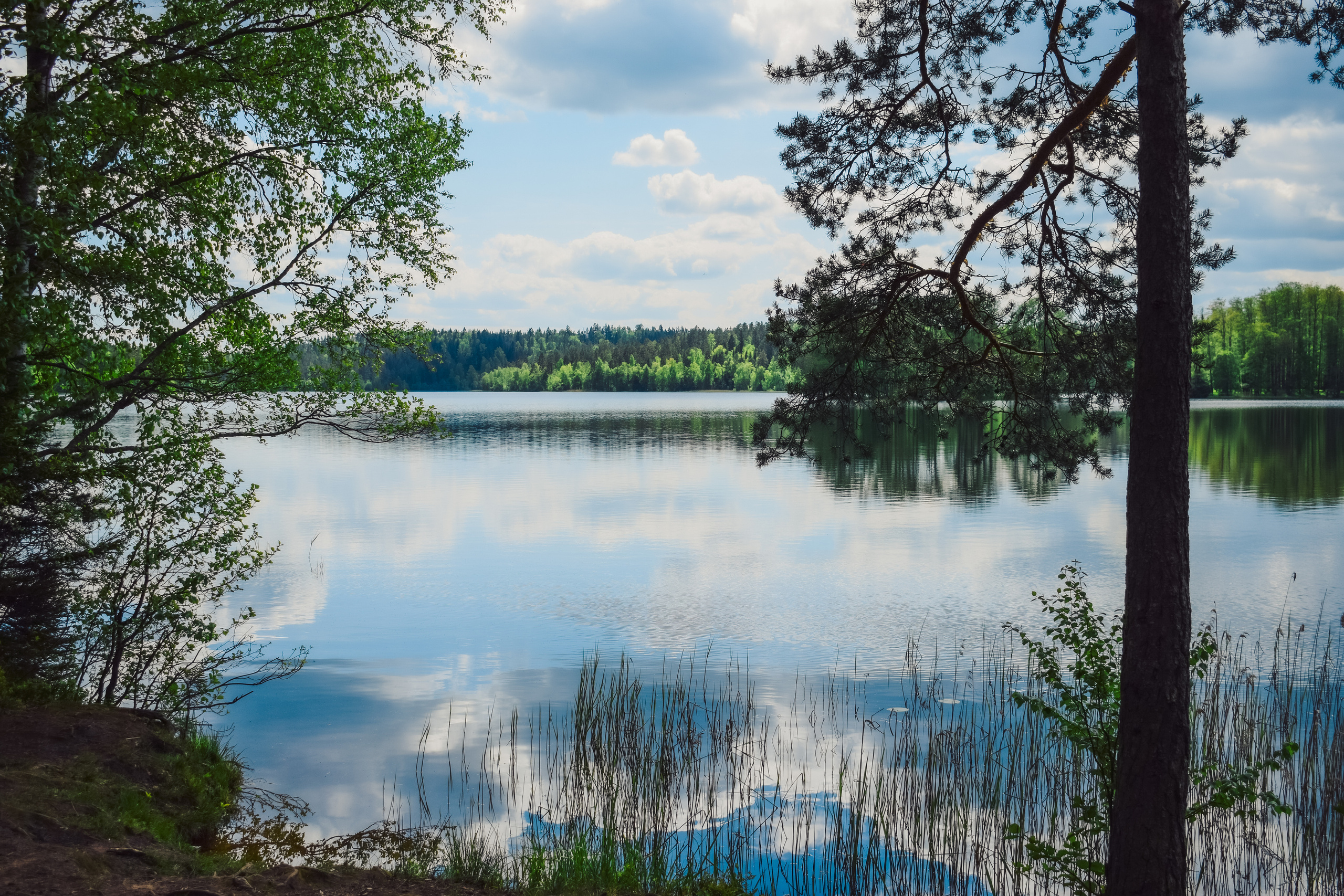 Корпоратив в Орехово (имидж студия Дениса Осипова). Фотограф в Санкт-Петербурге