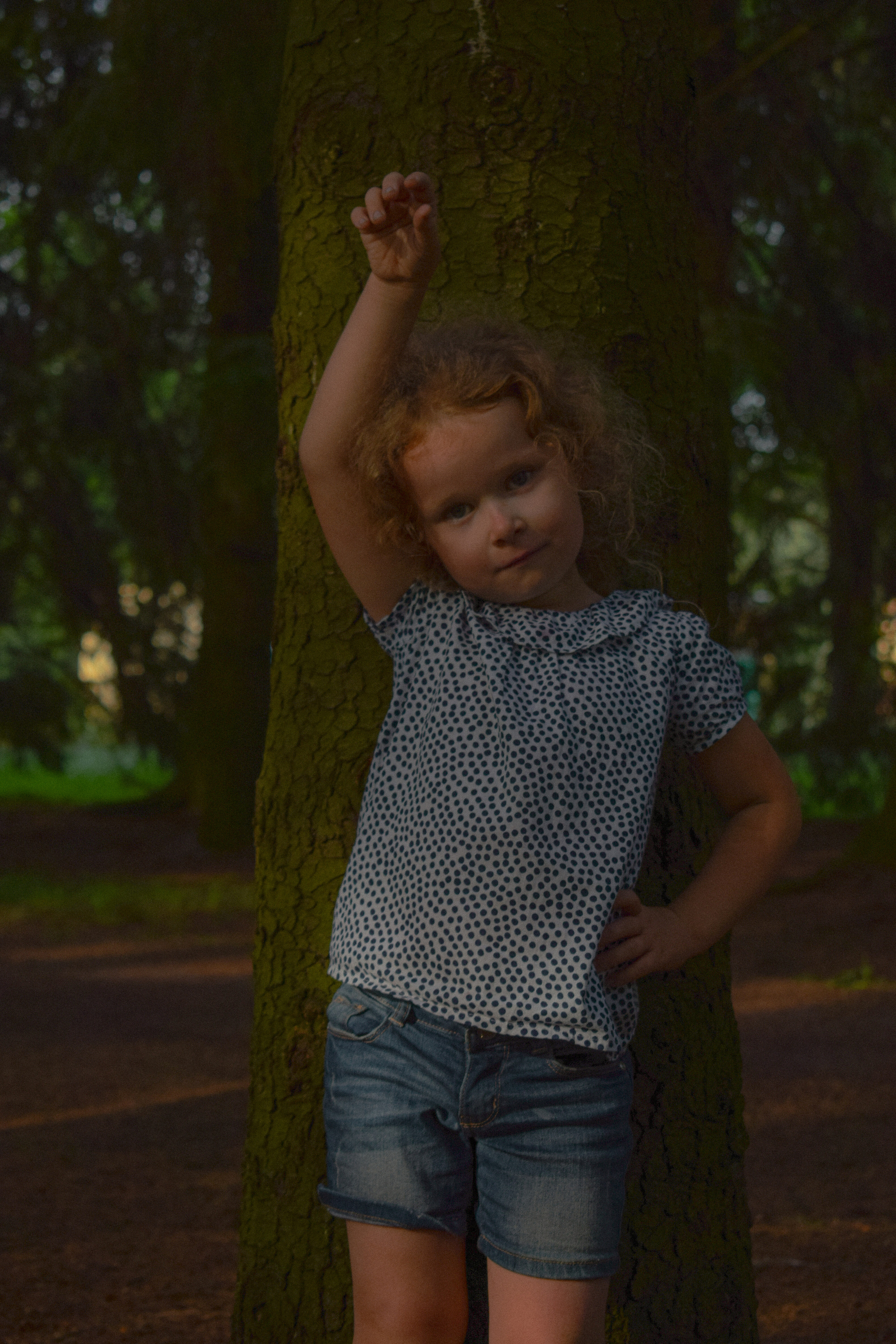 История в Павловском парке. Фотограф в Санкт-Петербурге
