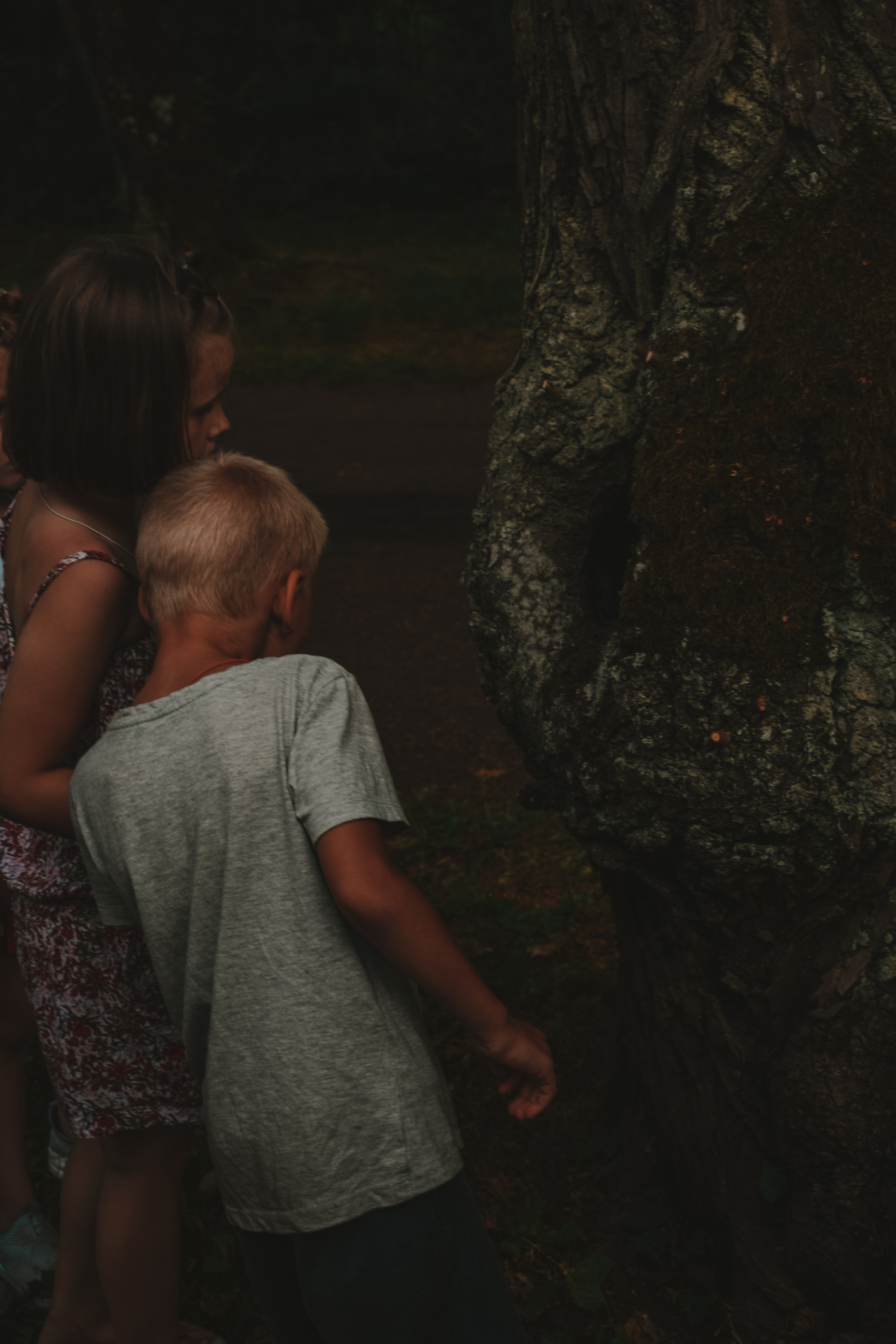 История в Павловском парке. Фотограф в Санкт-Петербурге