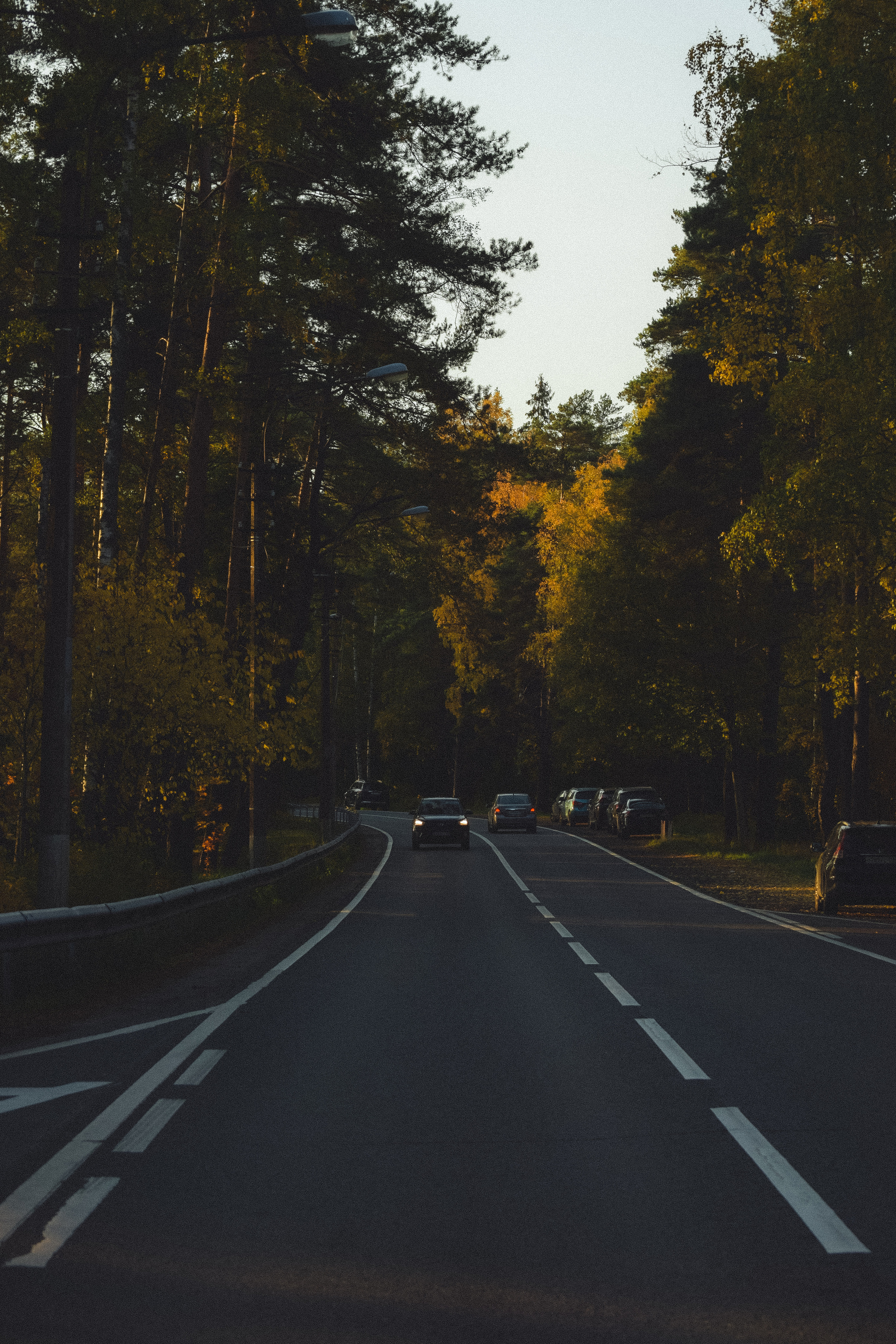 Осень. История в Комарово. Фотограф в Санкт-Петербурге Дмитрий Скородумов