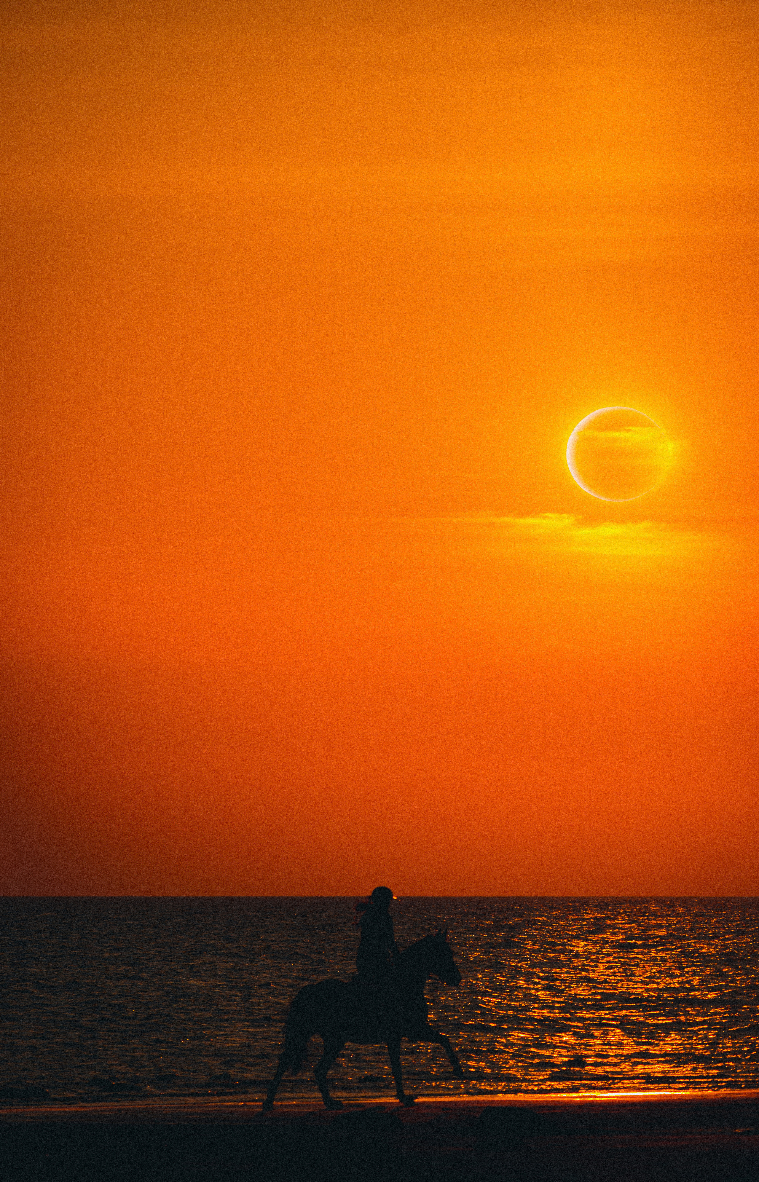 Осень. История в Комарово. Фотограф в Санкт-Петербурге Дмитрий Скородумов